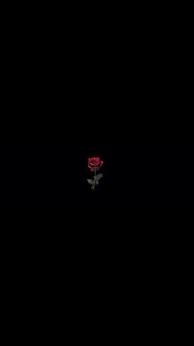 Rose rosse su sfondo nero, 2000x2667 Full HD Verticale, iPhone Plus