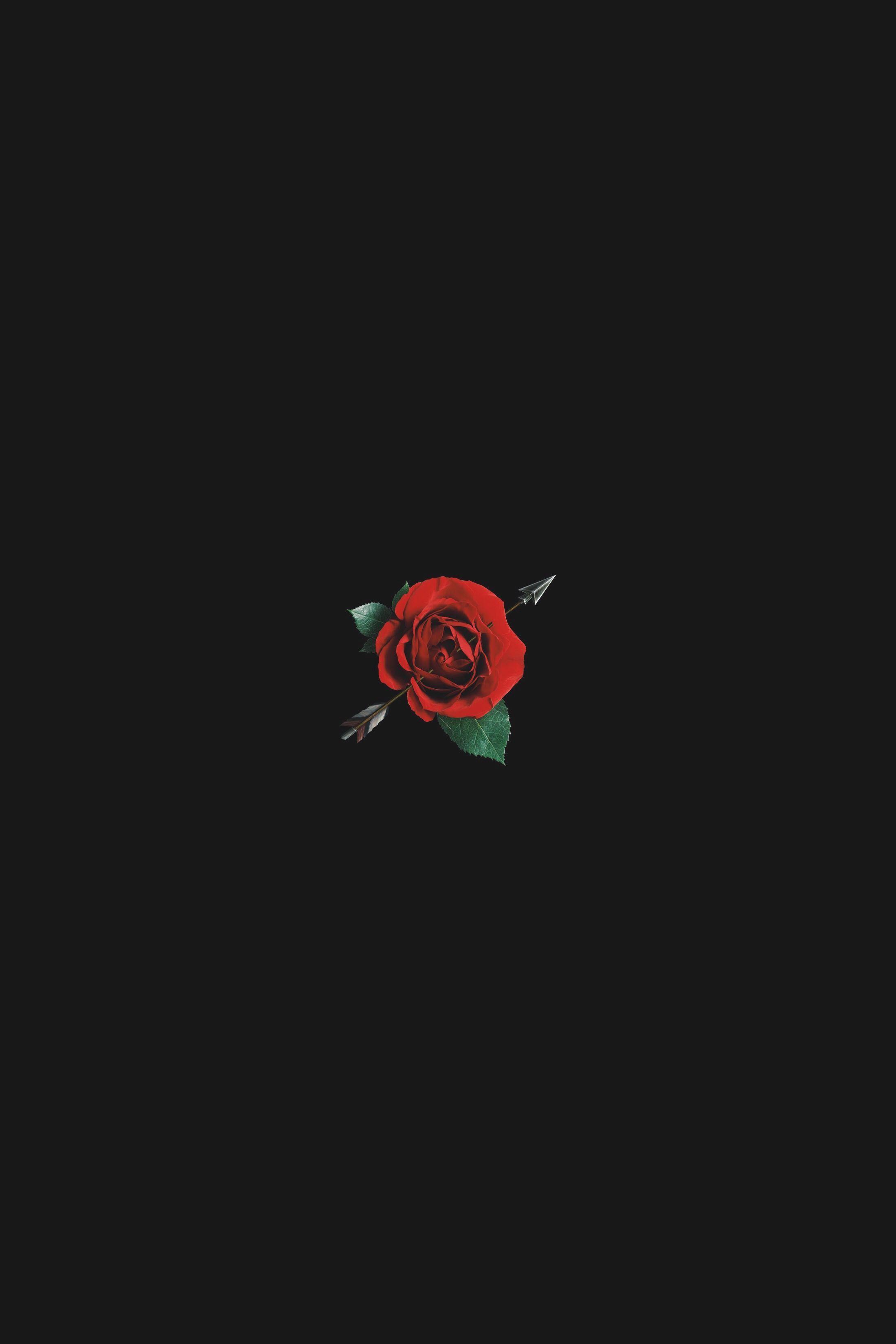 Rosa rossa minimalista su nero, 2200x3300 Verticale, Mobile
