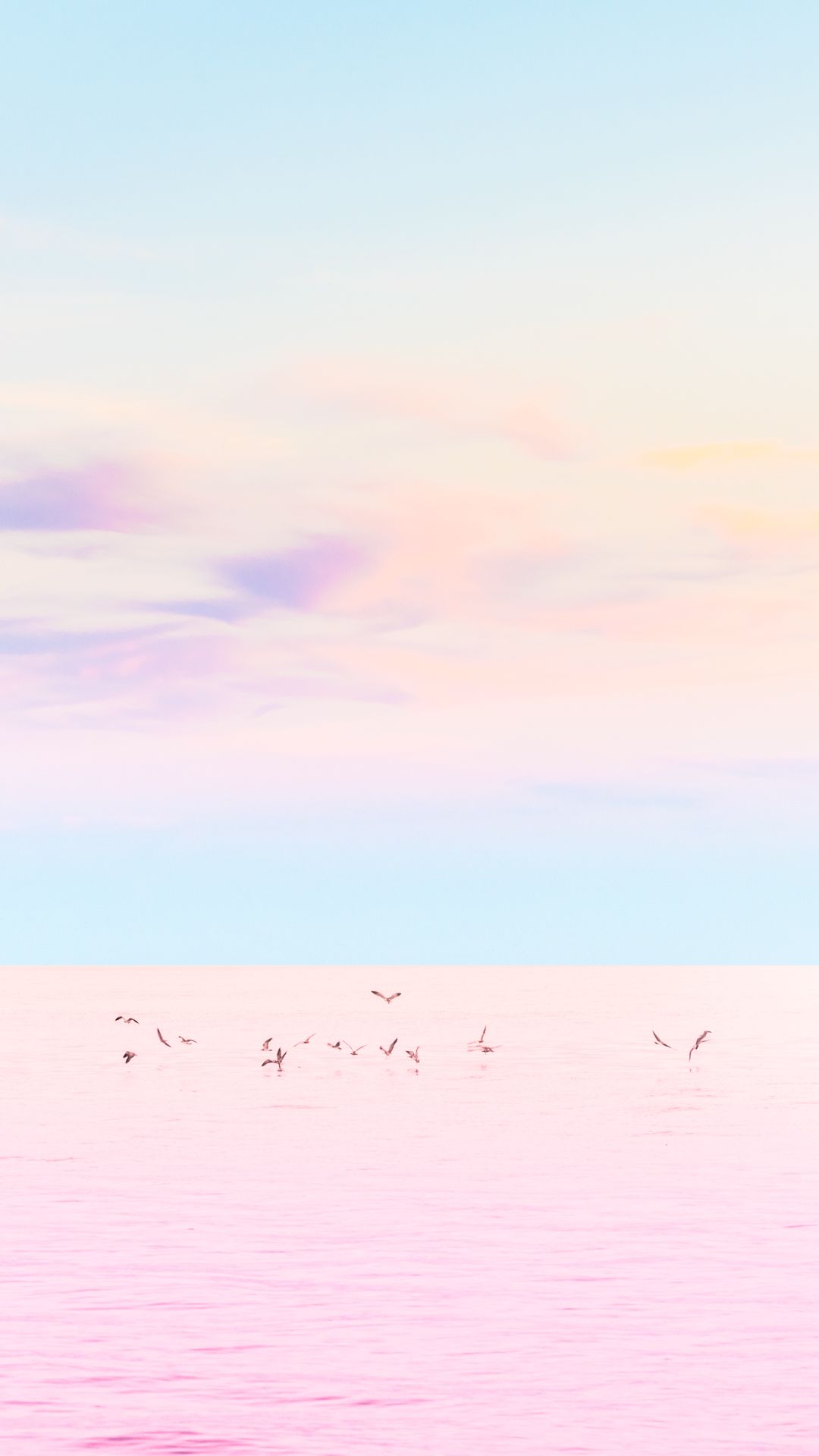Uccelli in volo mare rosa, 1080x1920 Verticale, Telefono
