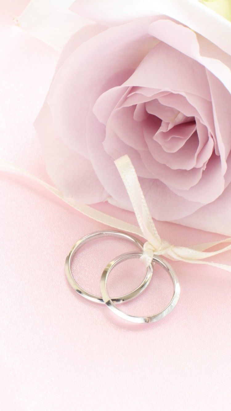 Rosa rosa e anelli argento, 750x1334 Full HD Verticale, iPhone