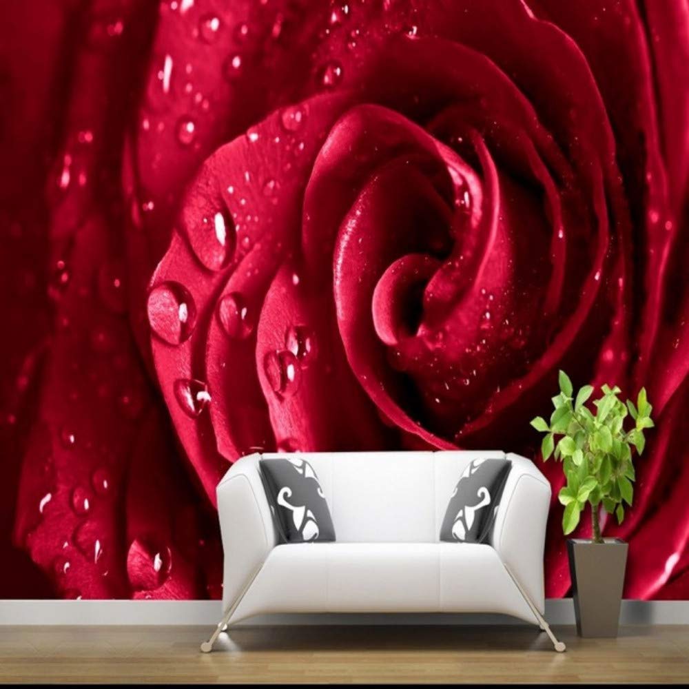 Rosa rossa con gocce d'acqua, 1000x1000 HD, Laptop