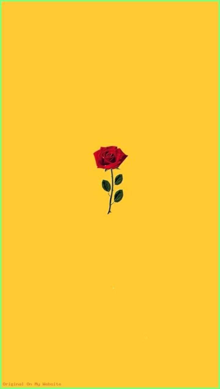 Rosa rossa su sfondo giallo, 720x1272 Verticale, Telefono