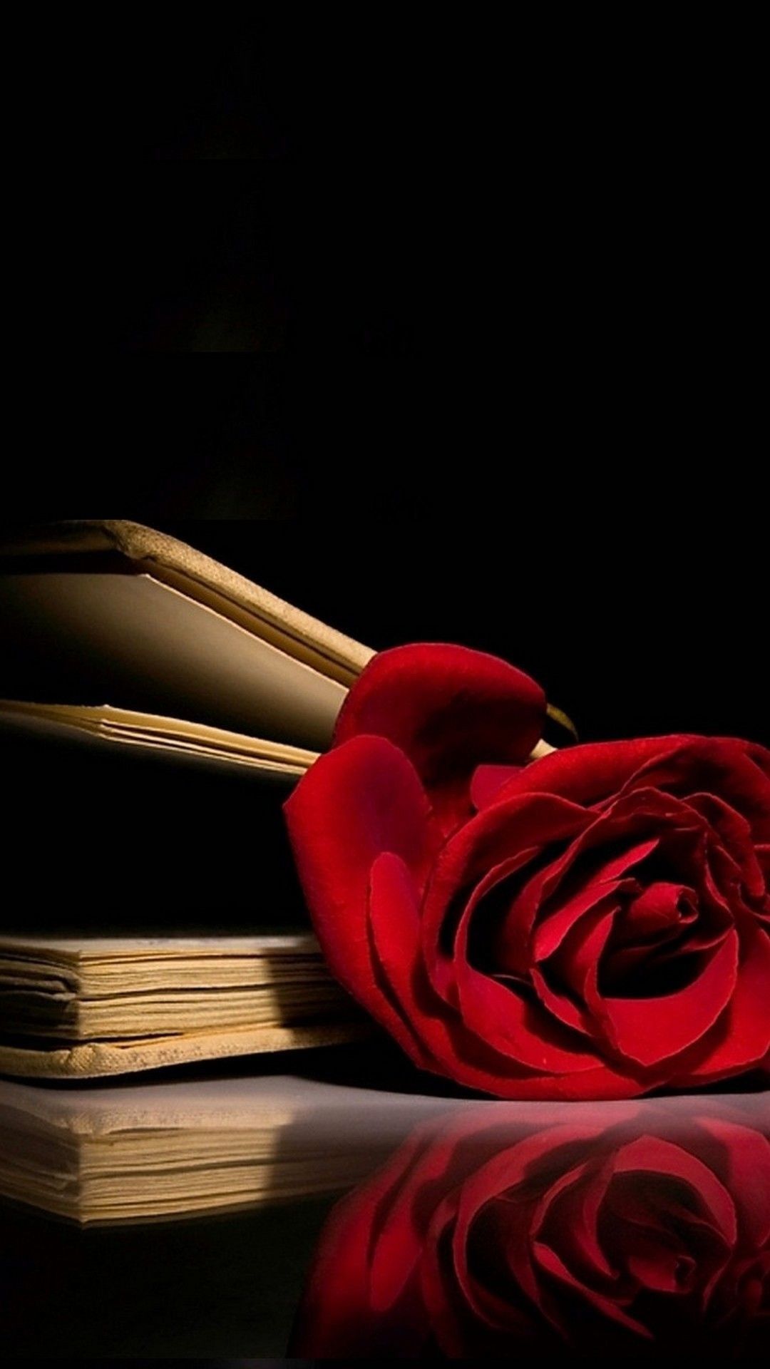 Rosa rossa con libro antico, 1080x1920 Verticale, Mobile