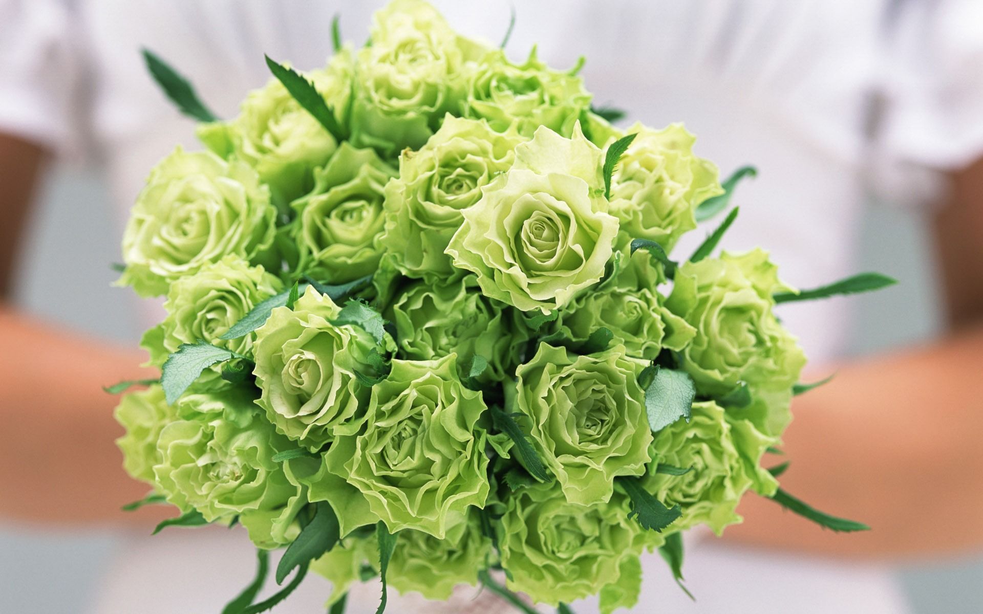 Bouquet rose verdi, 1920x1200 Full HD+ WUXGA, Desktop