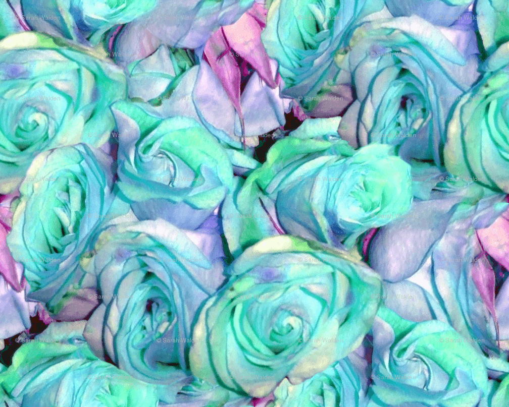 Rose verdi acqua e viola, 1008x807 HD, Laptop