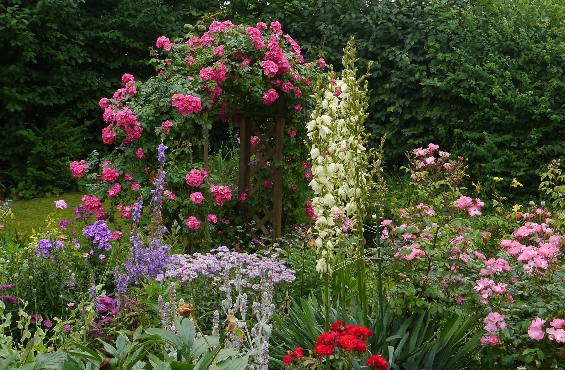 Giardino con rose rosa e verde, 1800x1180 HD, PC