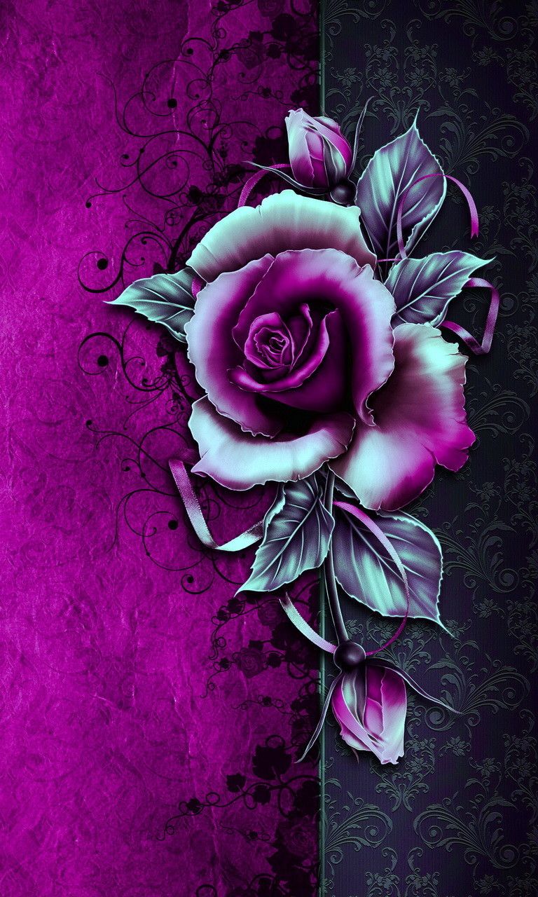 Rosa viola su sfondo scuro, 768x1280 Verticale, Mobile