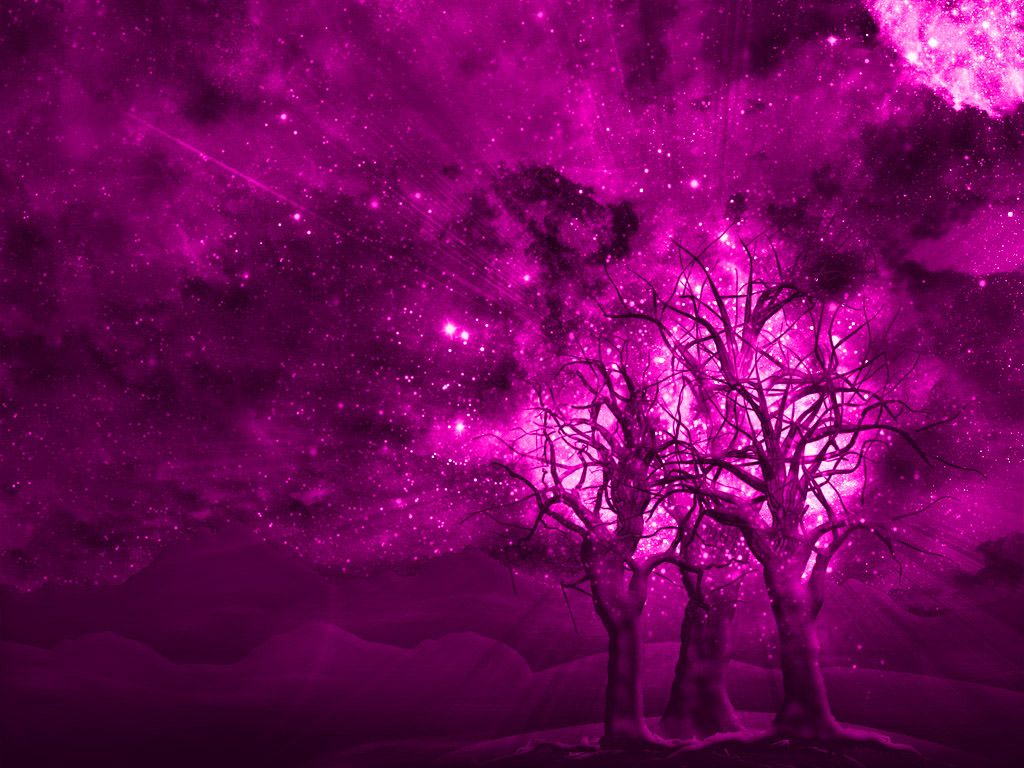 Alberi silhouette cielo rosa, sfondo 1024x768 HD, Desktop
