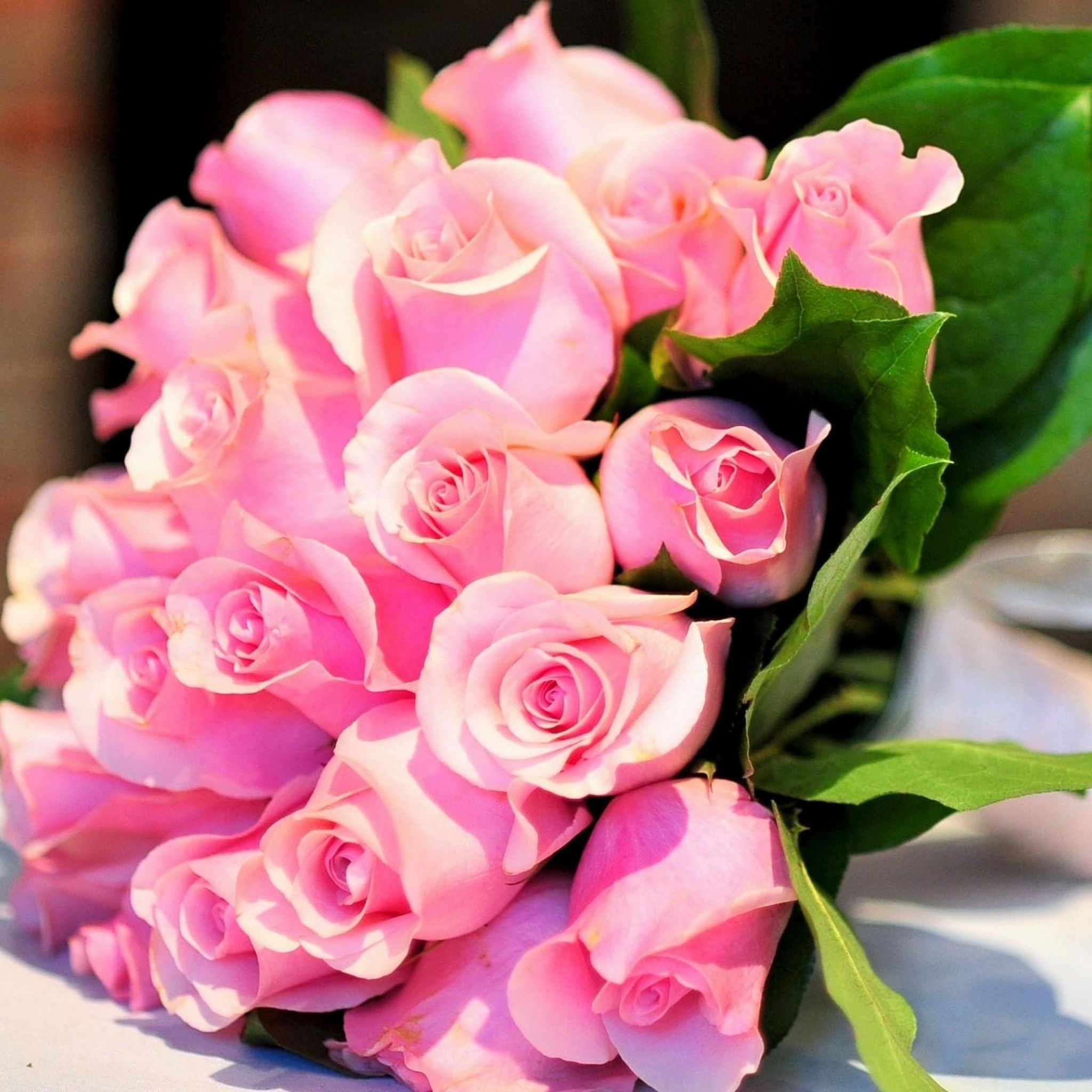Bouquet di rose rosa, 2048x2048 2K, Laptop