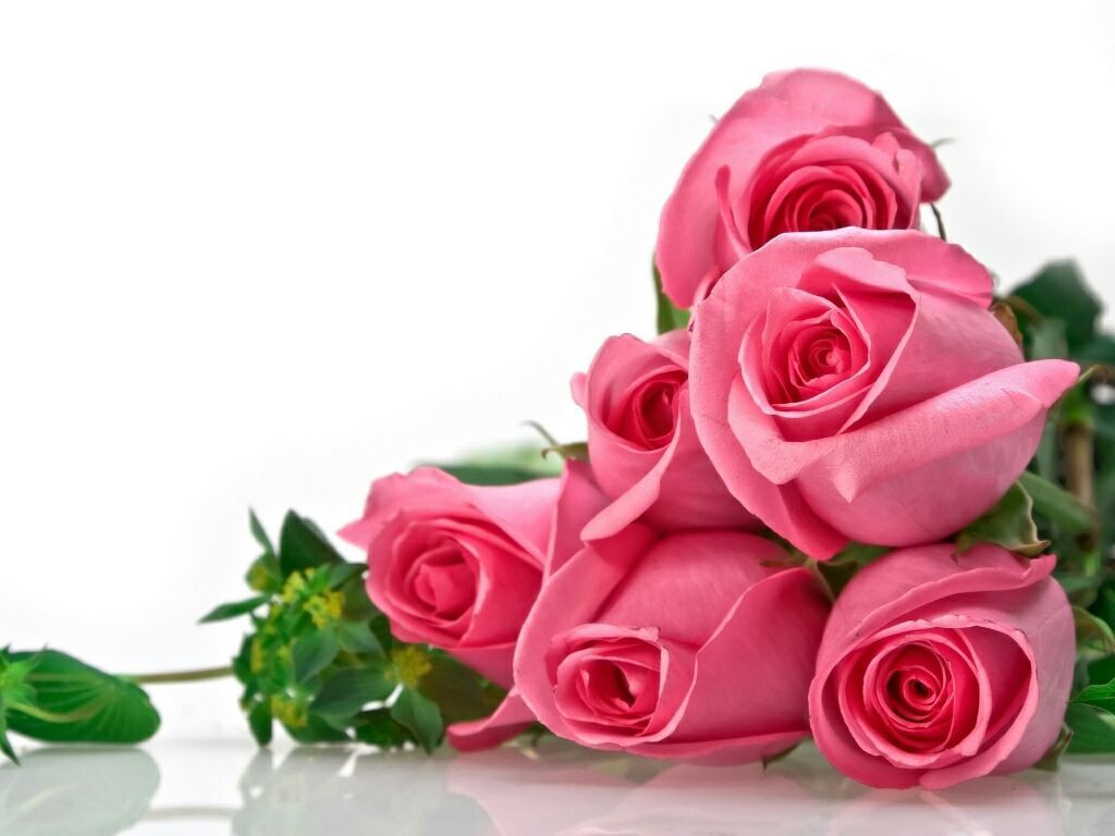 Mazzo di rose rosa, 1024x768 HD, PC Desktop