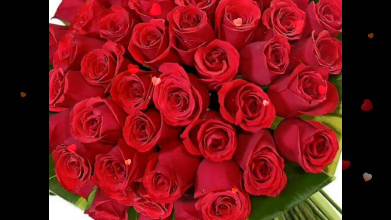 Mazzo di rose rosse, 1280x720 HD, Desktop