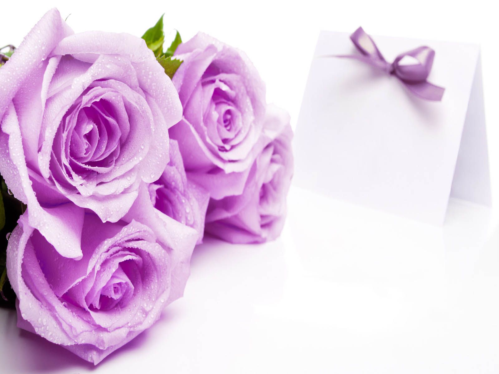 Rose viola con biglietto, 1600x1200 900p, Desktop