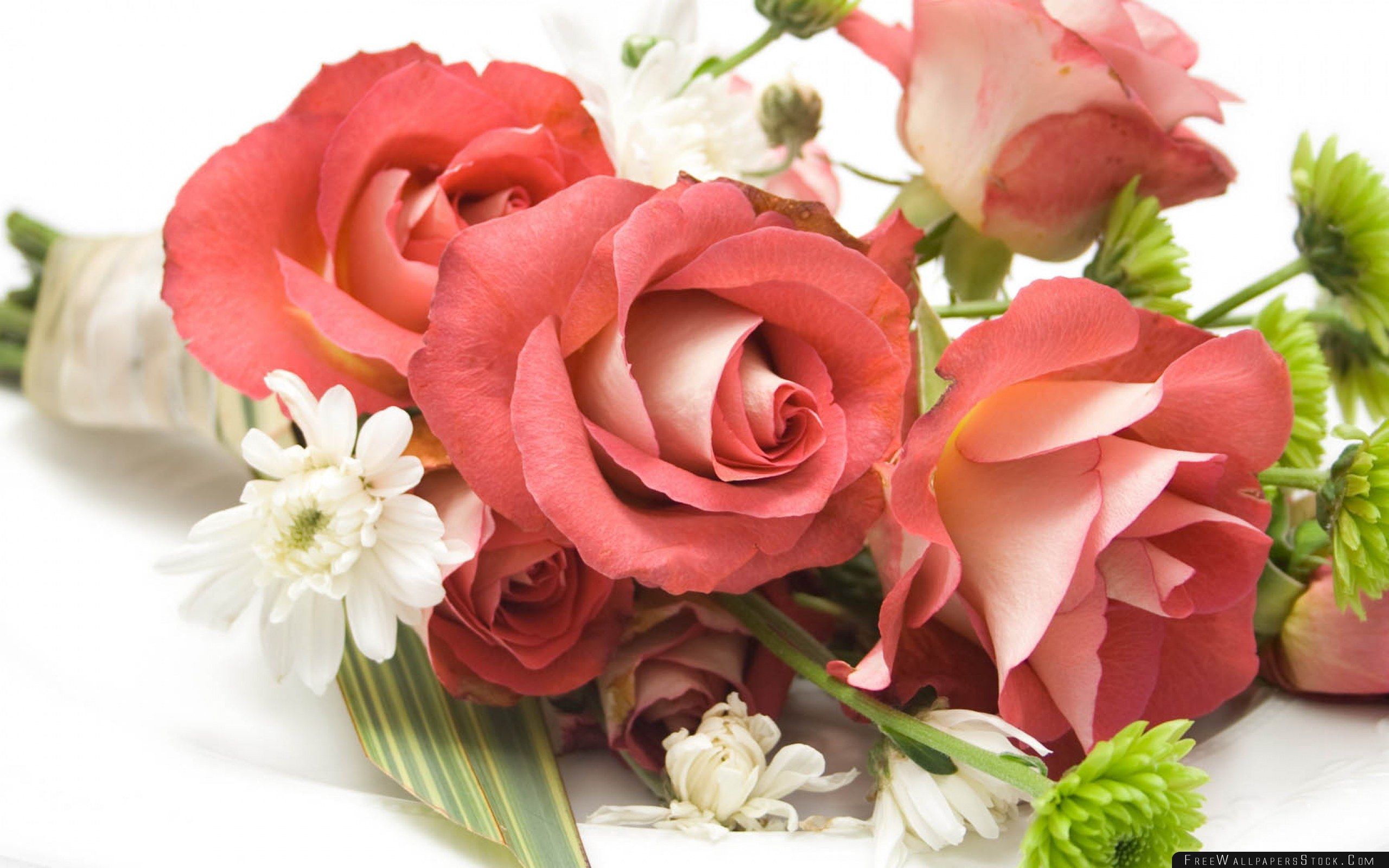 Bouquet rose rosa e fiori bianchi, 2560x1600 2K+, Desktop