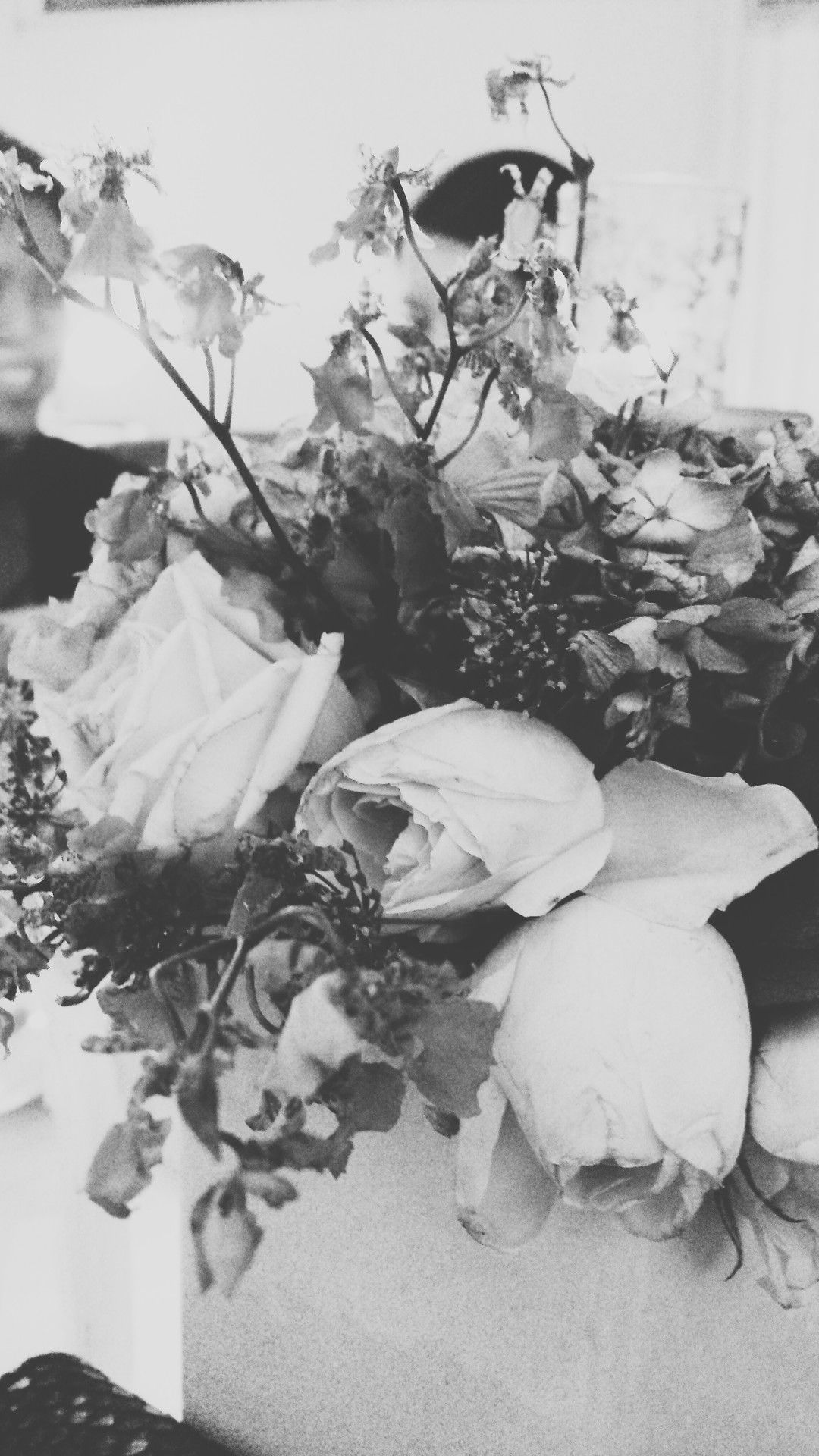 Rose rosse e orchidee bianche, 736x1308 Full HD Verticale, iPhone Pro Max