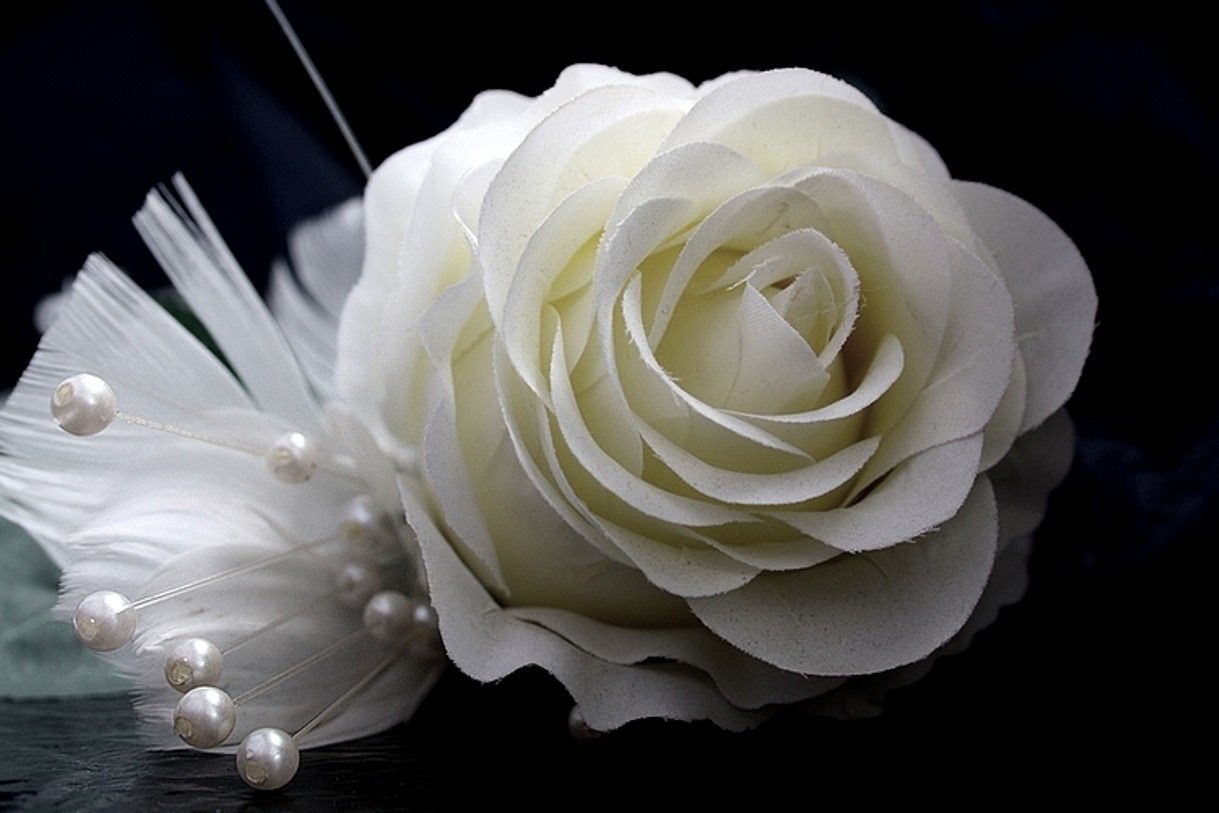 Rosa bianca con perle, 1219x813 HD, Laptop