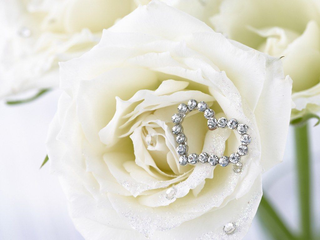 Rose bianche con cuore strass, 1024x768 HD, Desktop