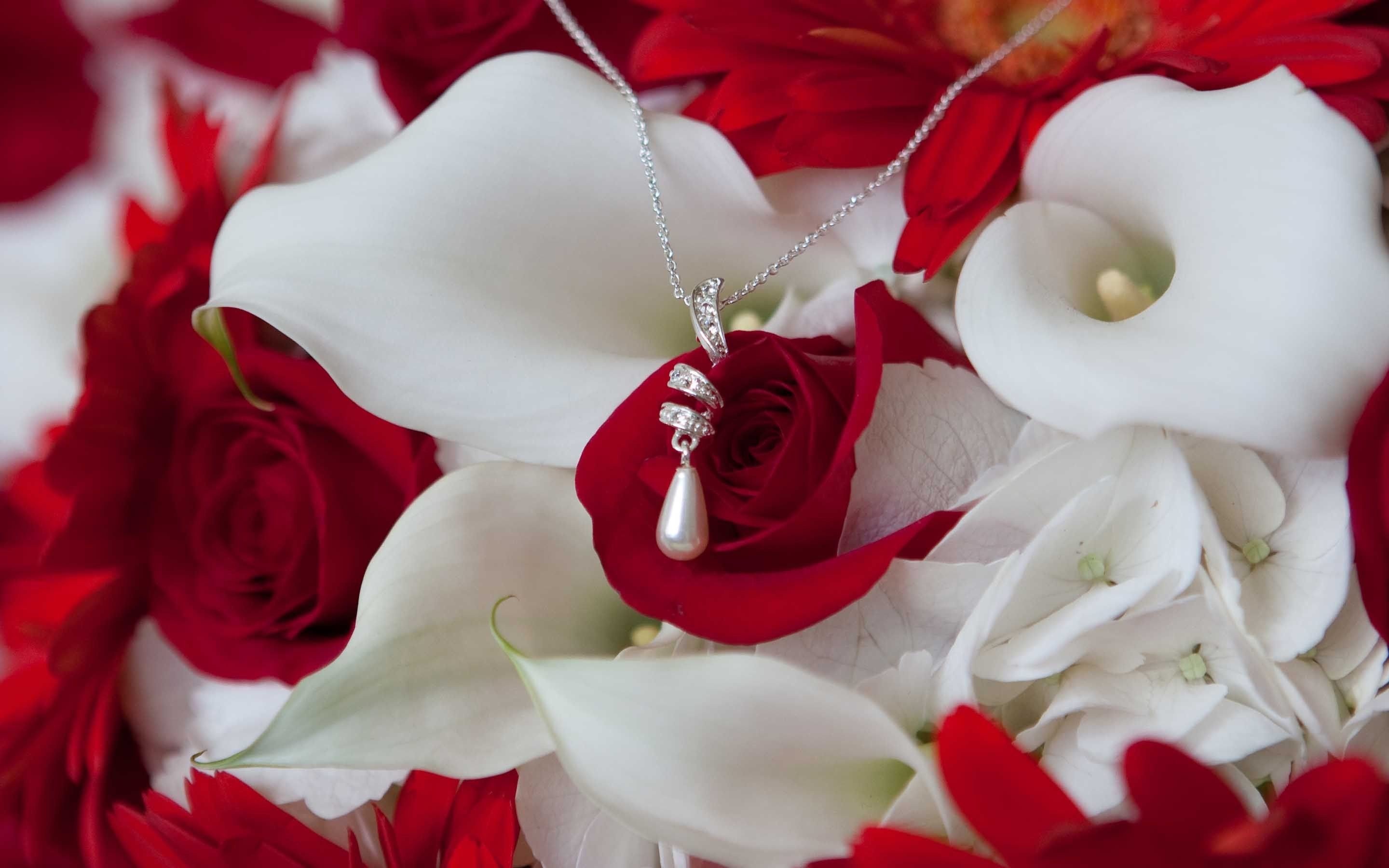 Collana con rose bianche e rosse, 2880x1800 WQXGA, PC