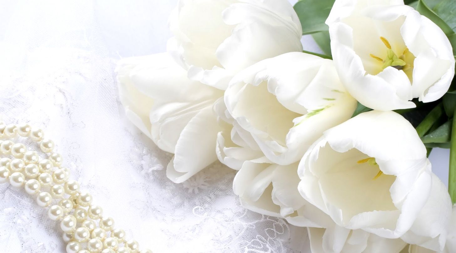 Tulipani bianchi con perle, 1456x810 720p, Laptop