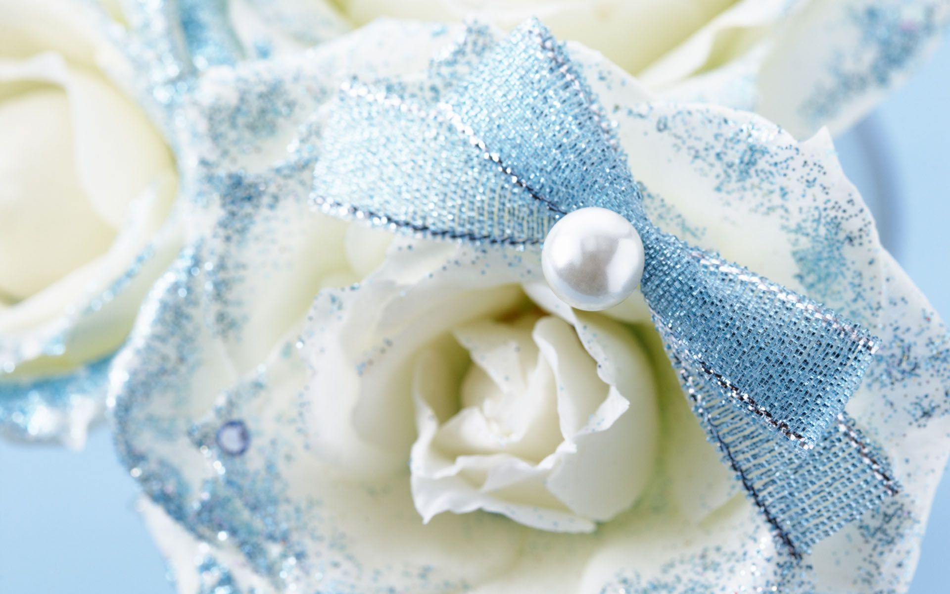 Rose bianche con fiocco azzurro, 1920x1200 Full HD+ WUXGA, Desktop