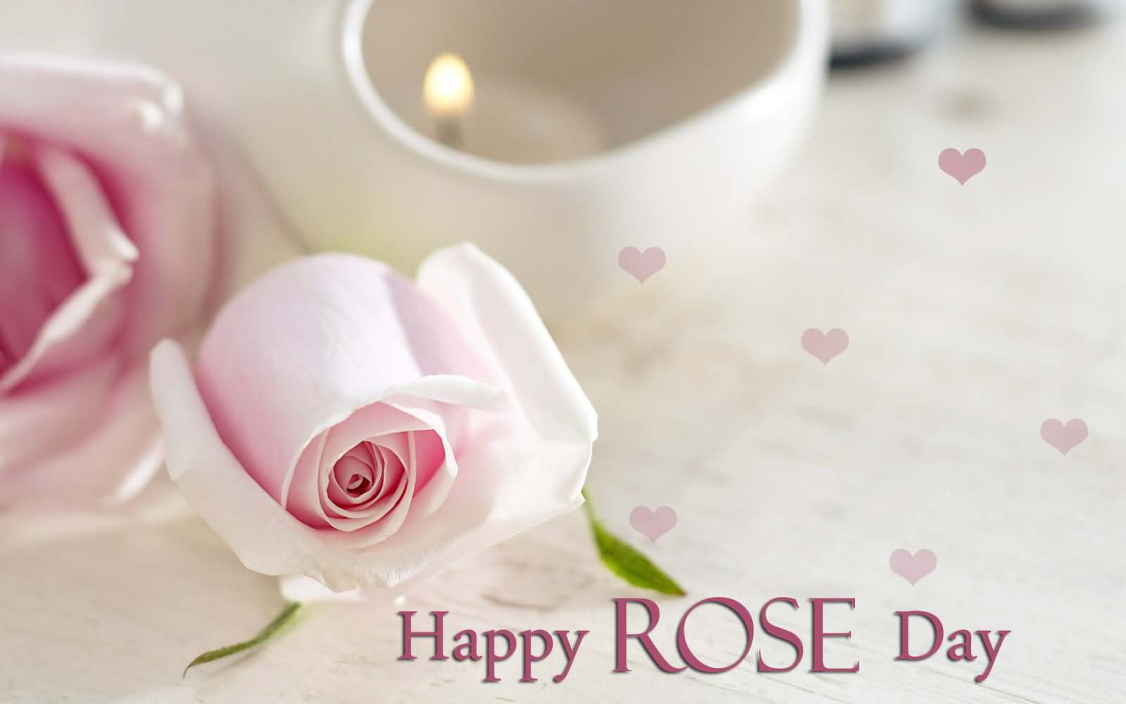 Rose rosa pallido con candela, 1600x1000 HD, ROG Asus Laptop