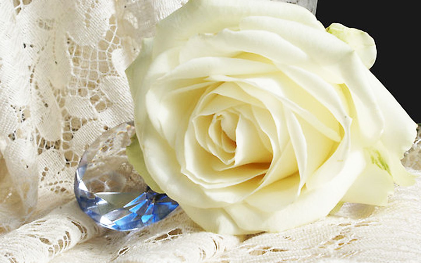 Rosa bianca con cristallo, 1440x900 HD, Desktop