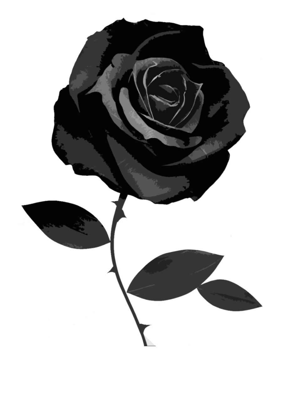Rosa nera con foglie, 920x1280 Verticale, POCO