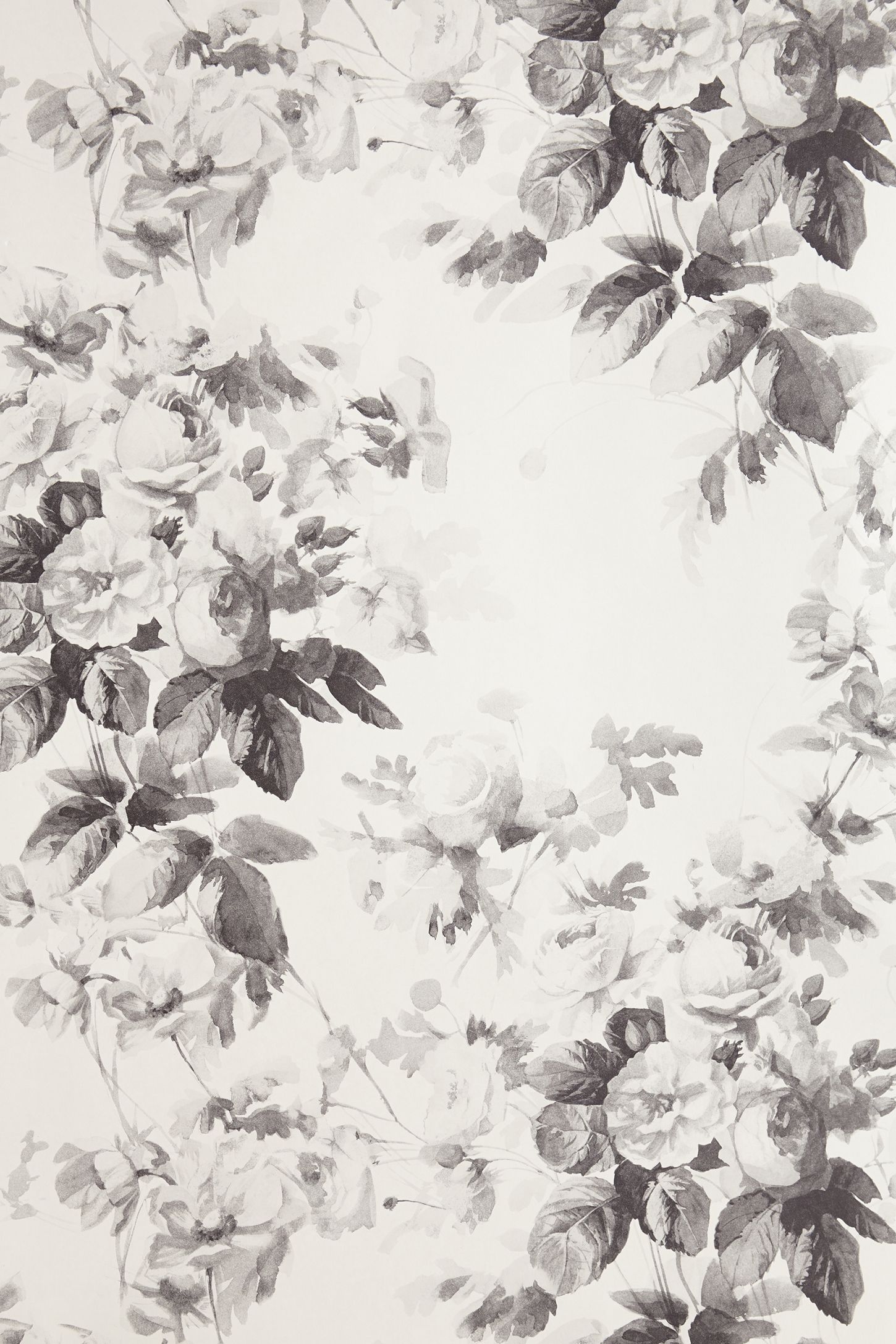 Rose bianco e nero, 1450x2175 Full HD Verticale, Smartphone