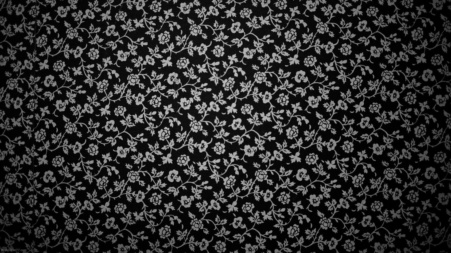 Fiori bianchi in bianco e nero, 1899x1188 900p, Laptop