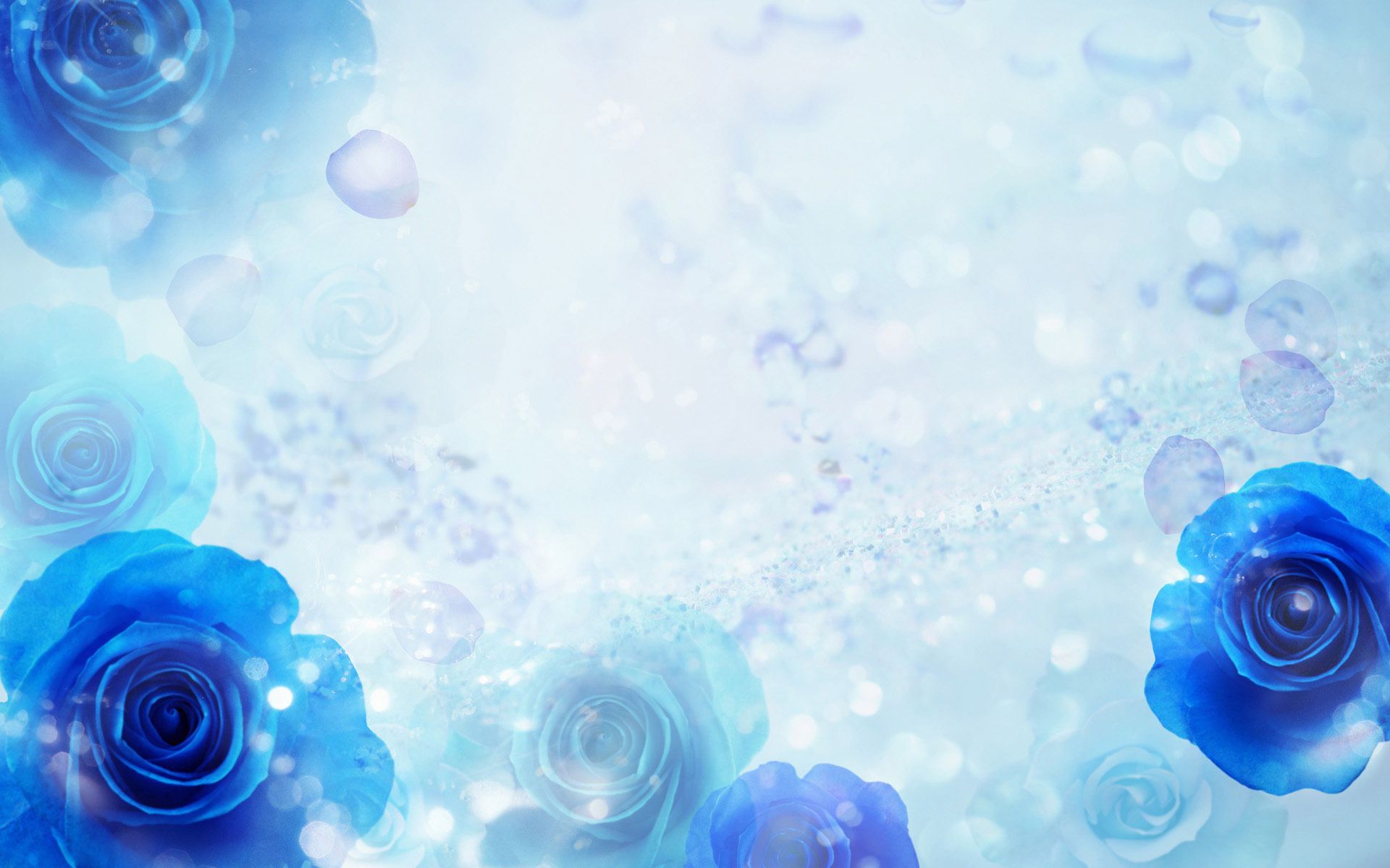 Rose blu su sfondo bokeh, 1920x1200 WUXGA, Desktop