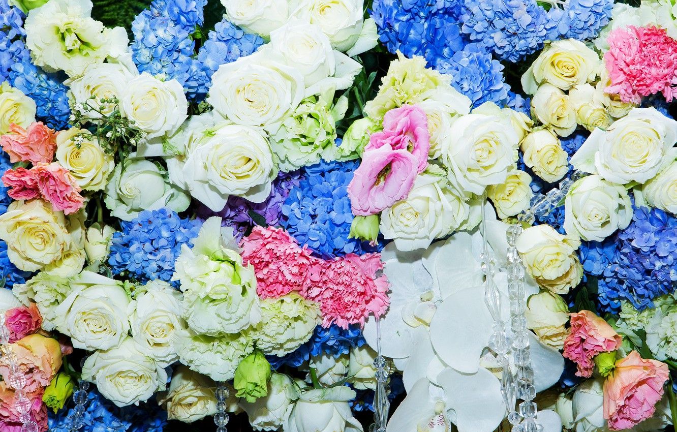 Rose bianche e ortensie blu, 1332x850 720p, Lenovo Legion