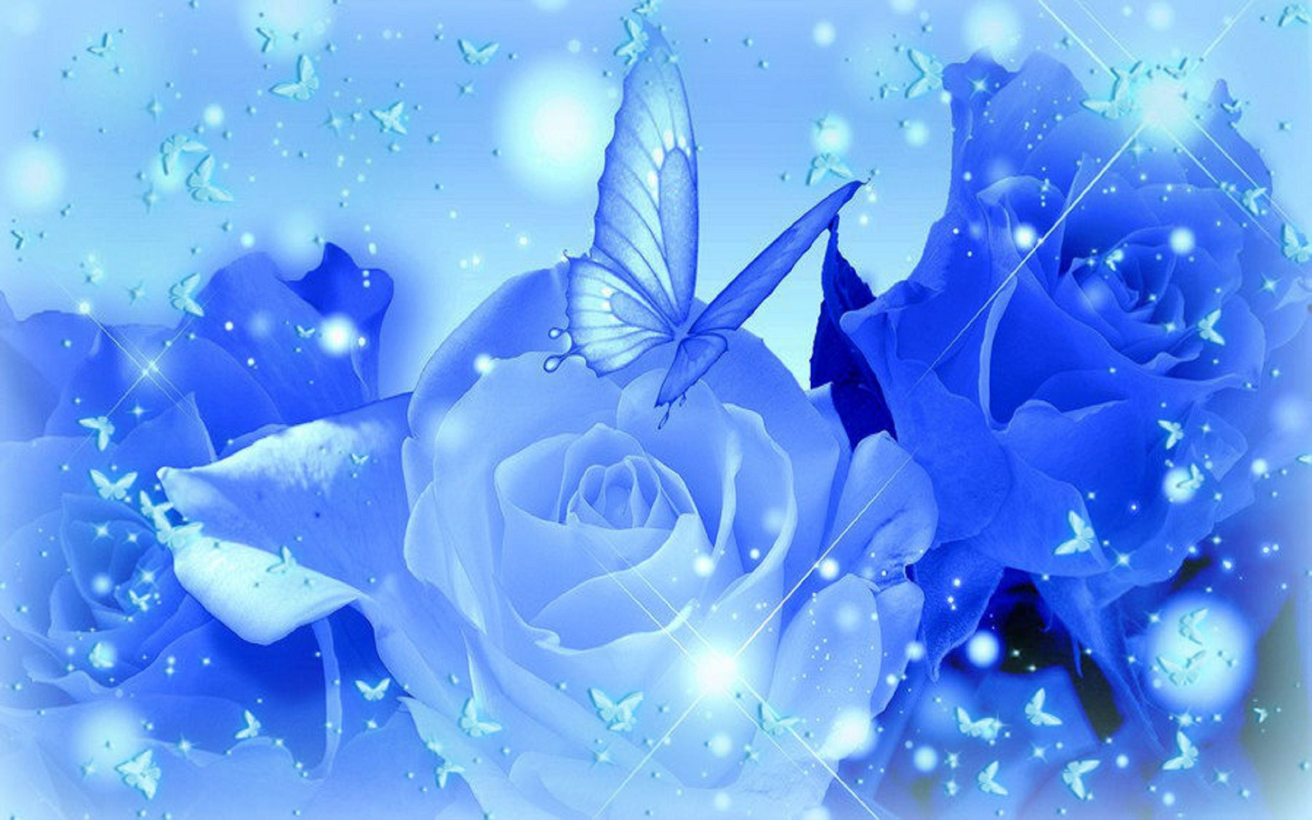Rosa bianca su sfondo blu ghiacciato, 1600x1200 HD, Laptop
