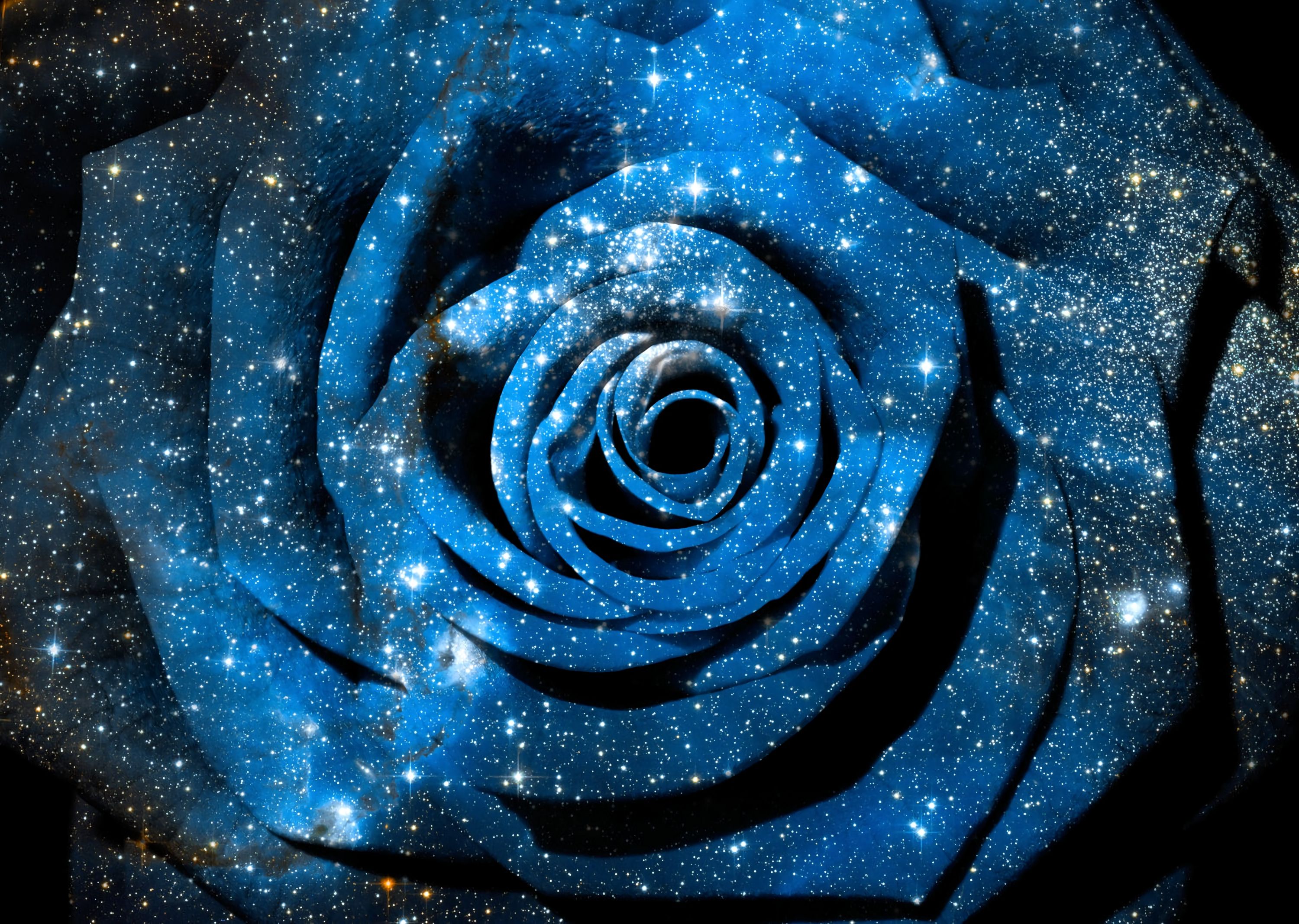 Rosa blu cosmica stellata, 1800x1200 HD, Laptop