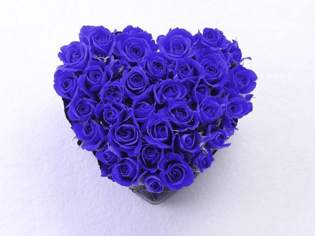 Cuore di rose blu, 1024x768 HD, PC Desktop