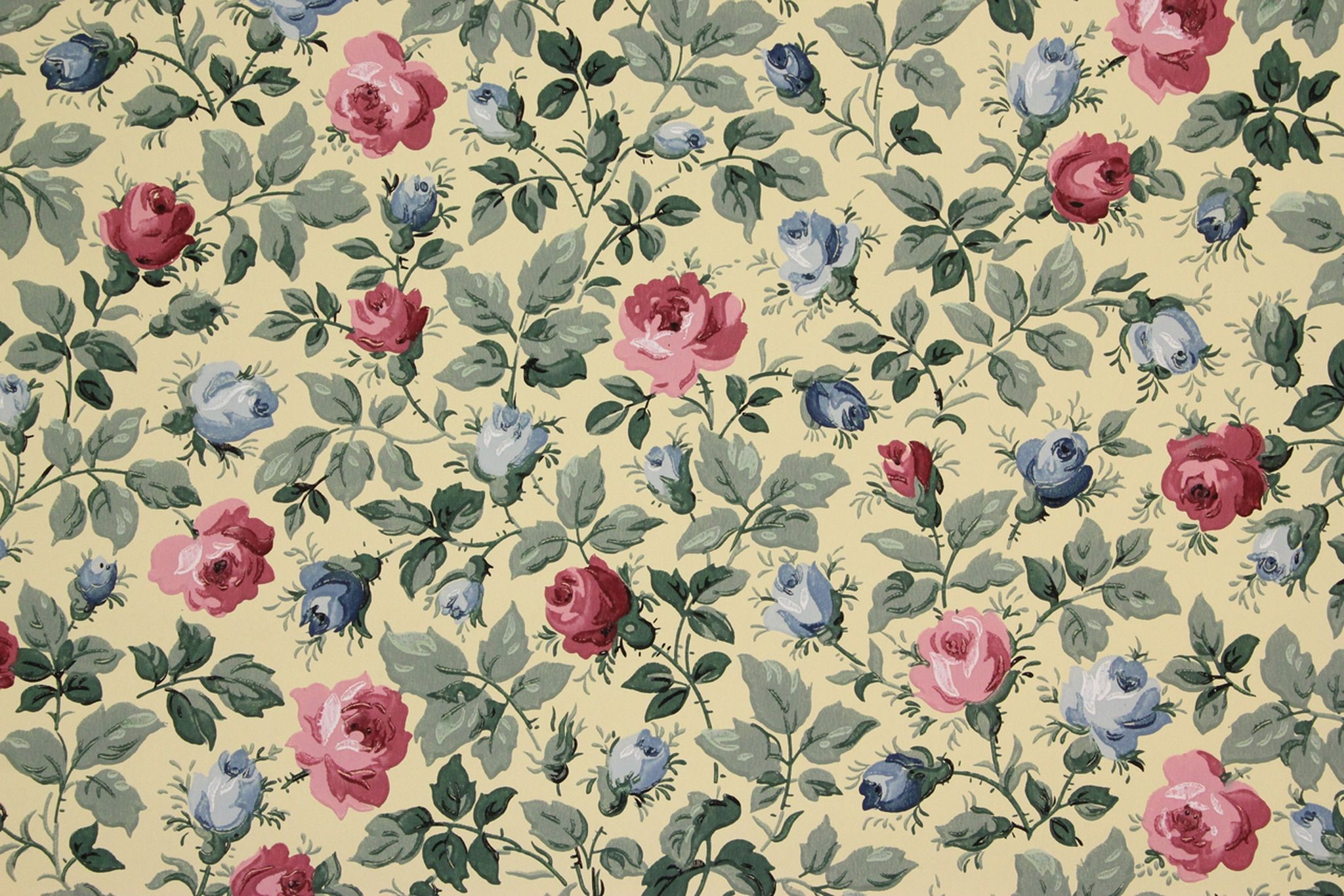 Rose rosa e blu vintage, 2048x1365 alta risoluzione, Desktop