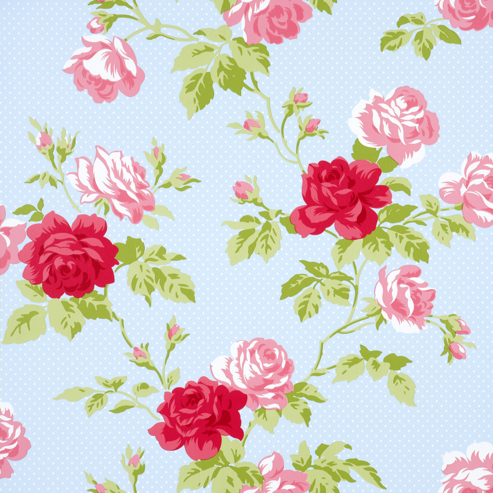 Rose rosa e rosse su blu, 1000x1000 HD, Desktop