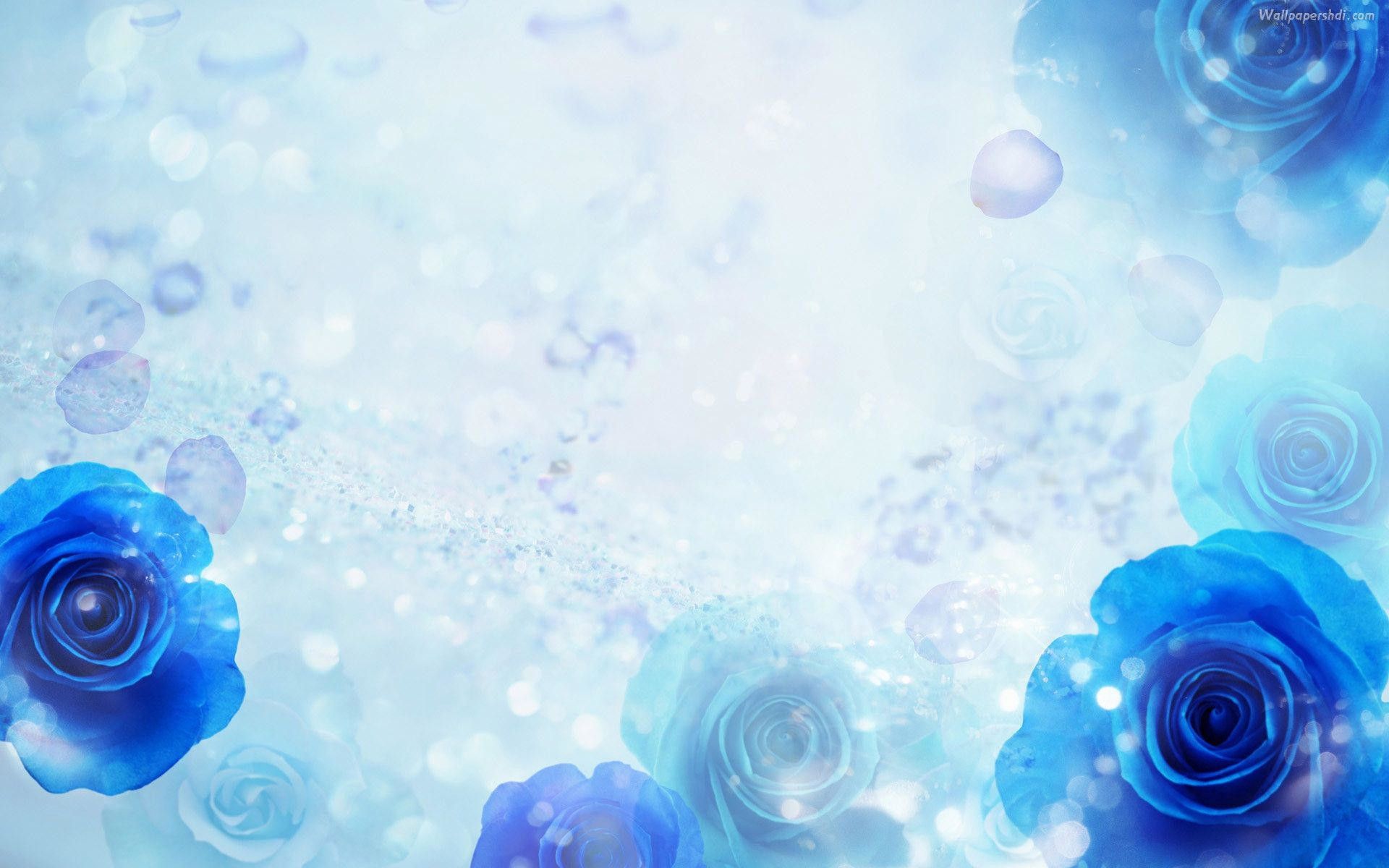 Rose blu vintage sfocate, 1920x1200 Full HD+, PC