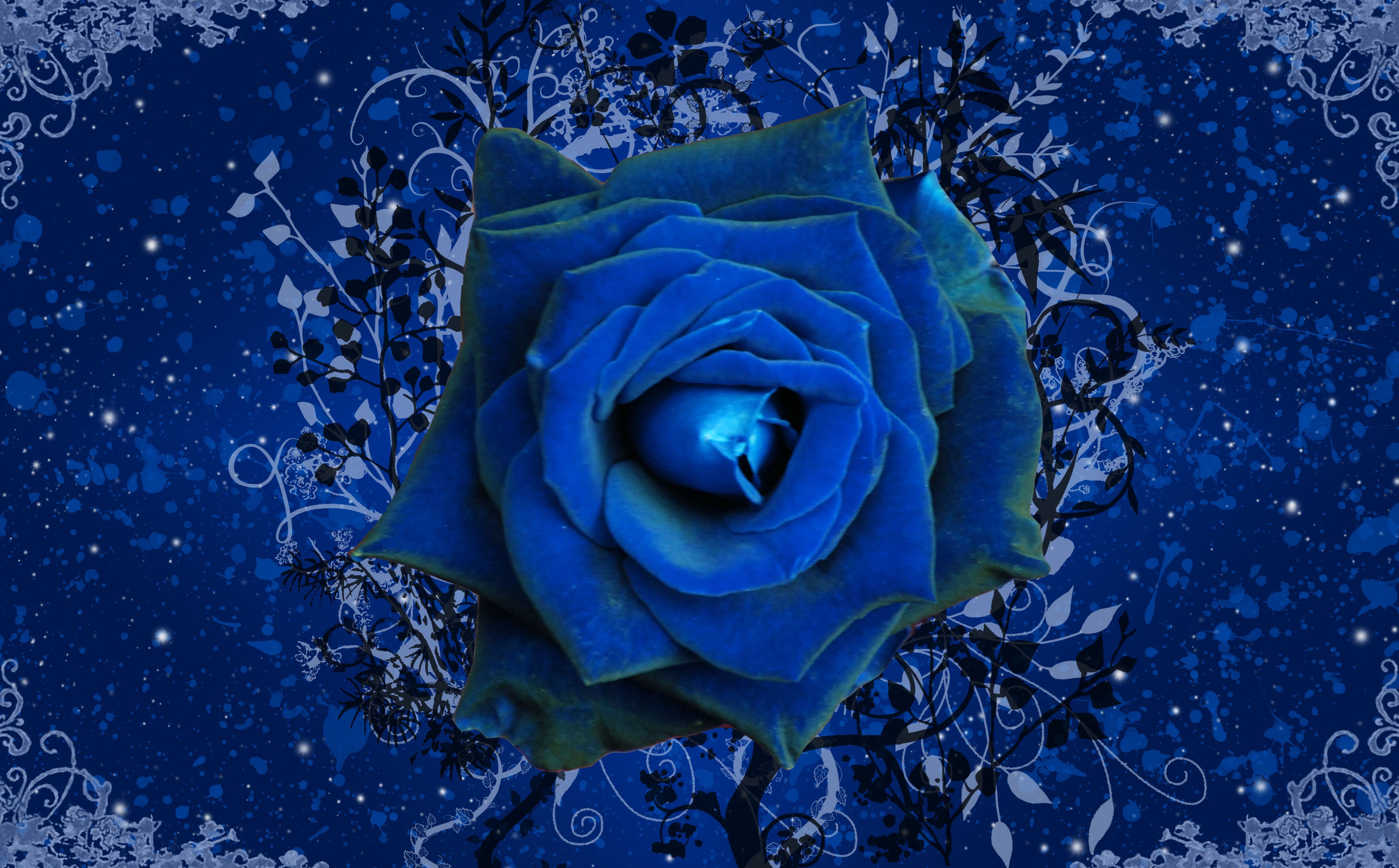 Rosa blu vintage, 4350x2700 4K Ultra HD, Monitor 4K
