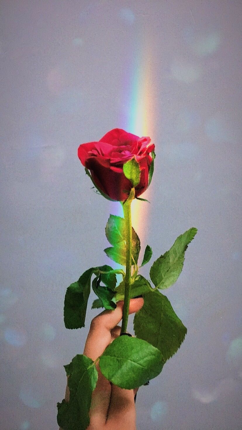Mano neon con rosa, 1280x720 HD, PC Desktop