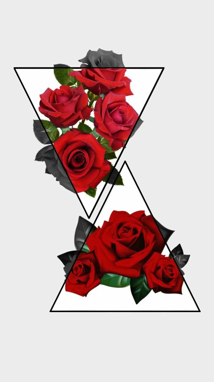 Rosa rossa con arcobaleno, 828x1472 Full HD Verticale, iPhone