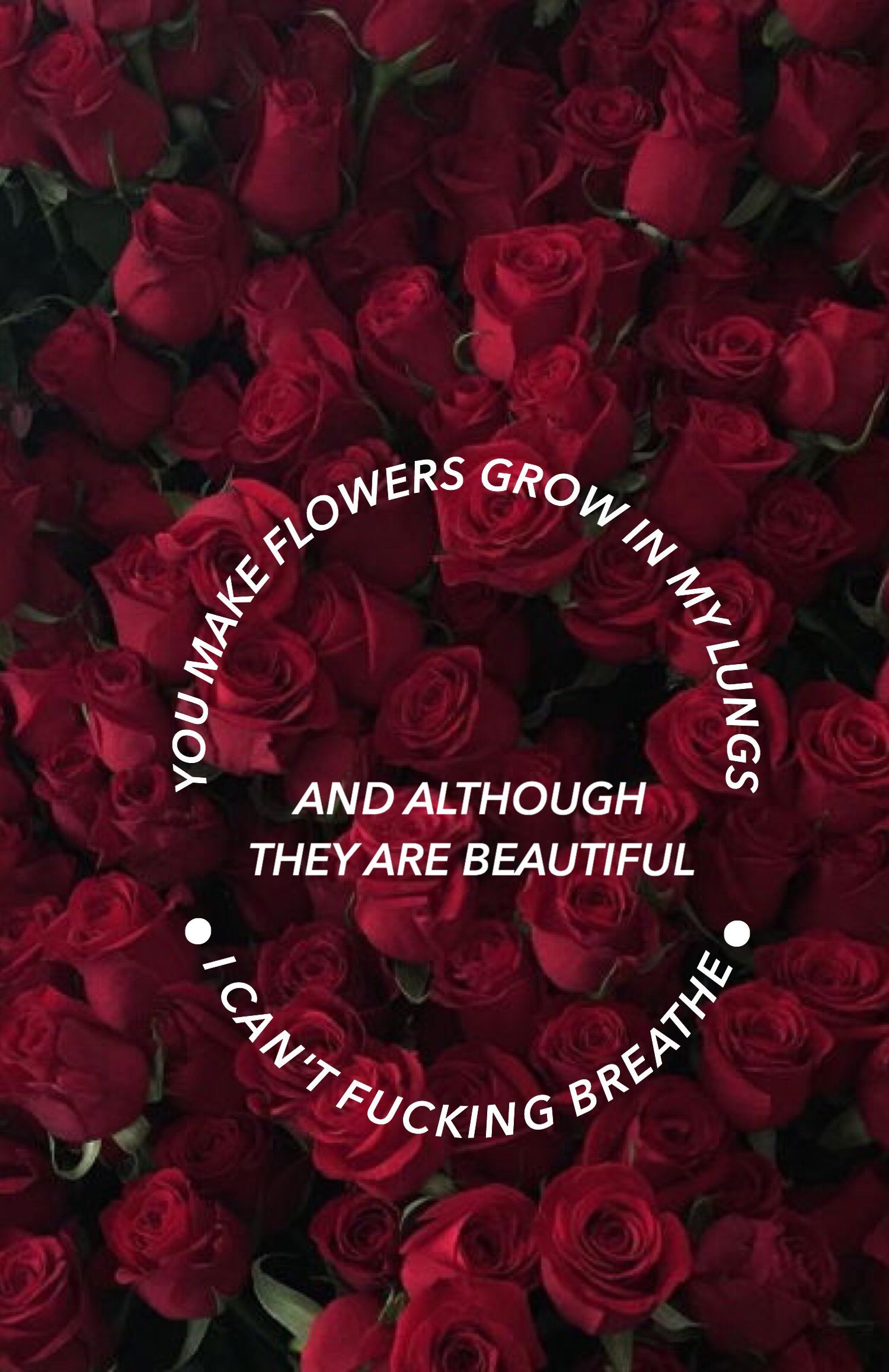 Rose rosse e bianche estetiche, 3024x3024 2K, Laptop
