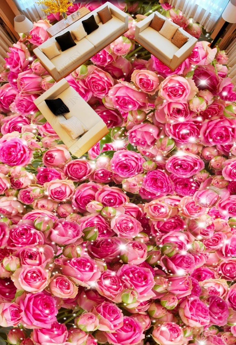 Rose rosa antico ravvicinate, 720x1280 Full HD Verticale, Google Pixel