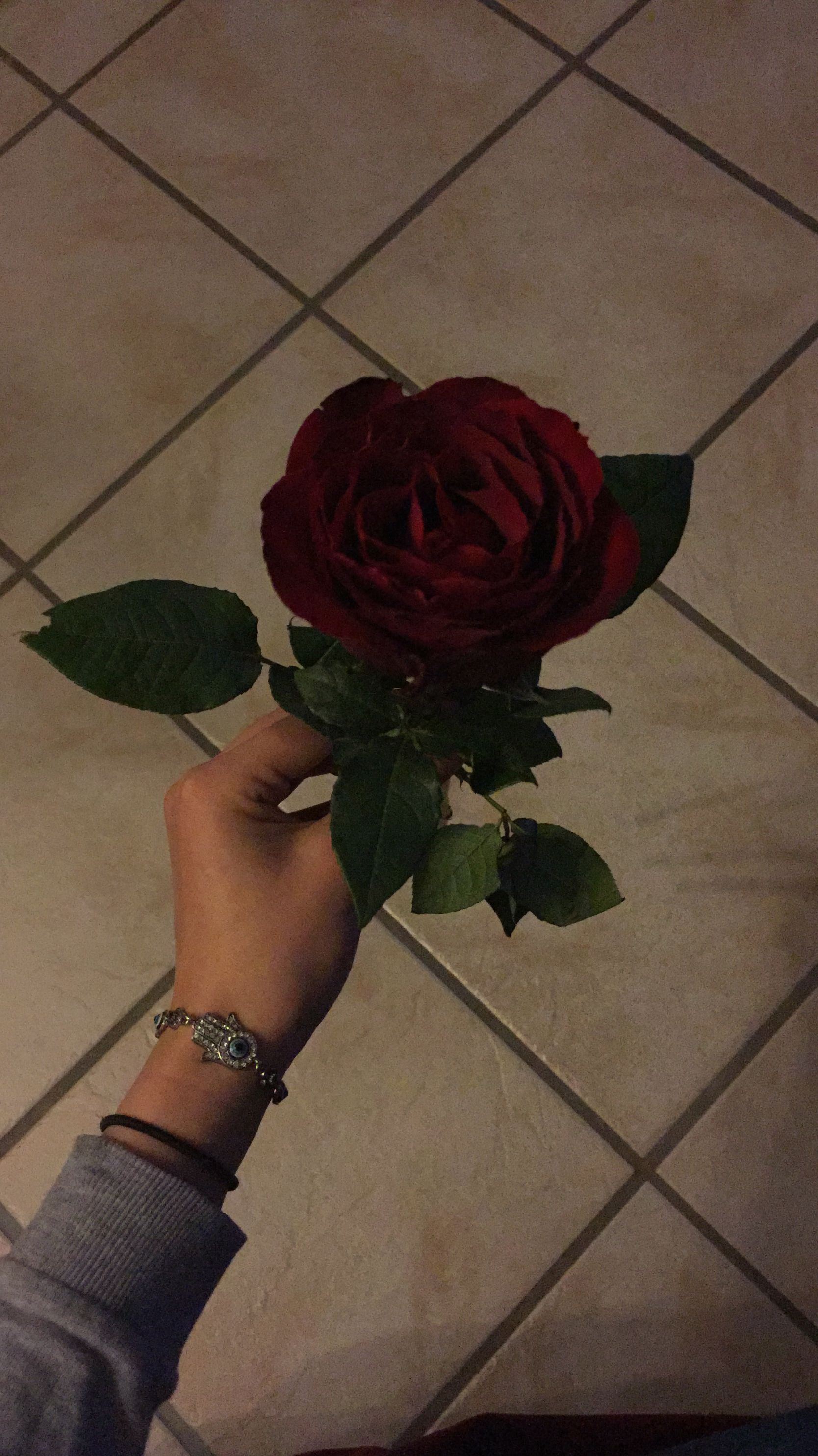 Rosa rossa su sfondo giallo, 886x1576 Verticale, Mobile