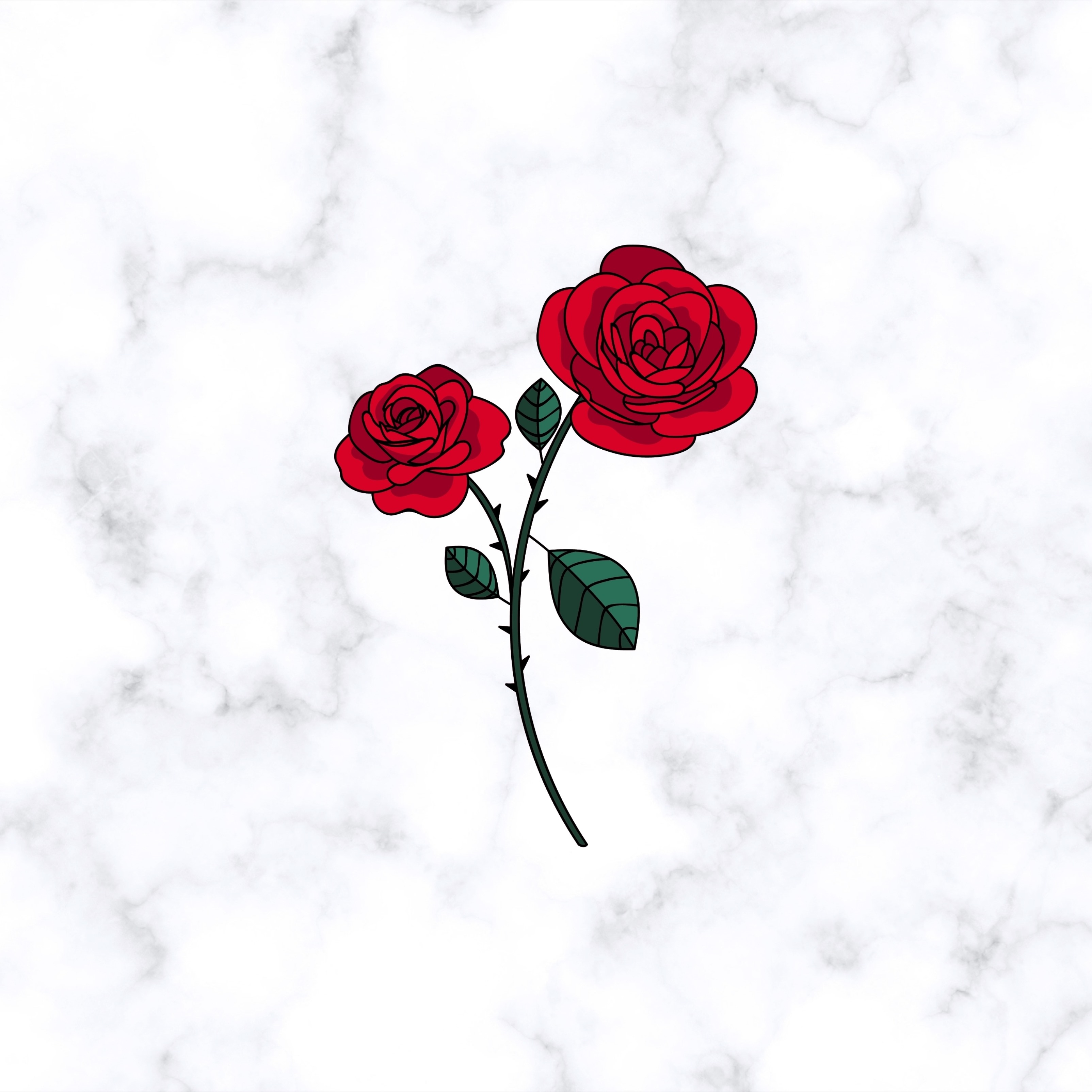 Rose rosse illustrate su marmo, 3208x3208 2K+, PC