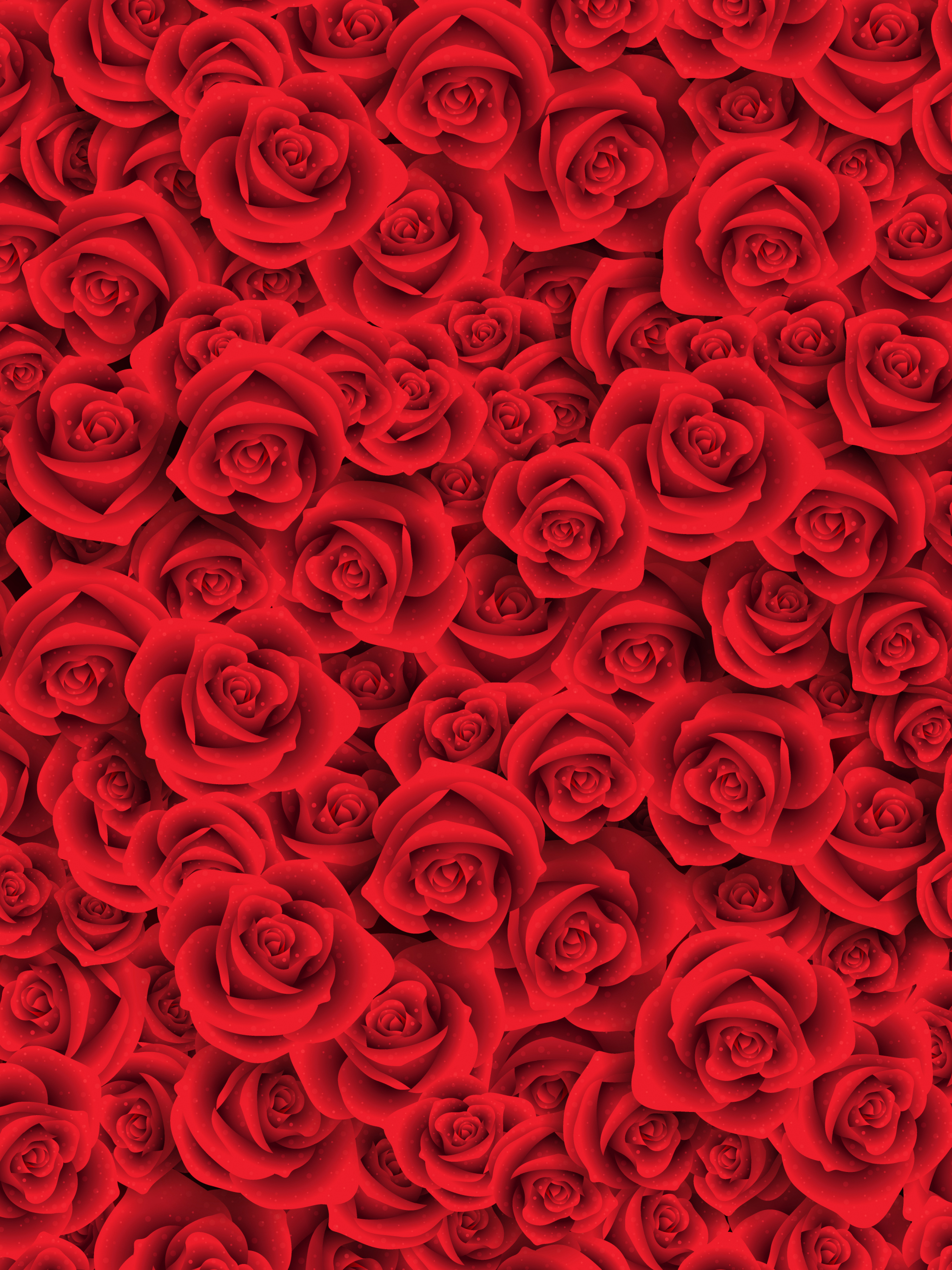 Rose rosse fitte, 2048x2732 Verticale, Mobile