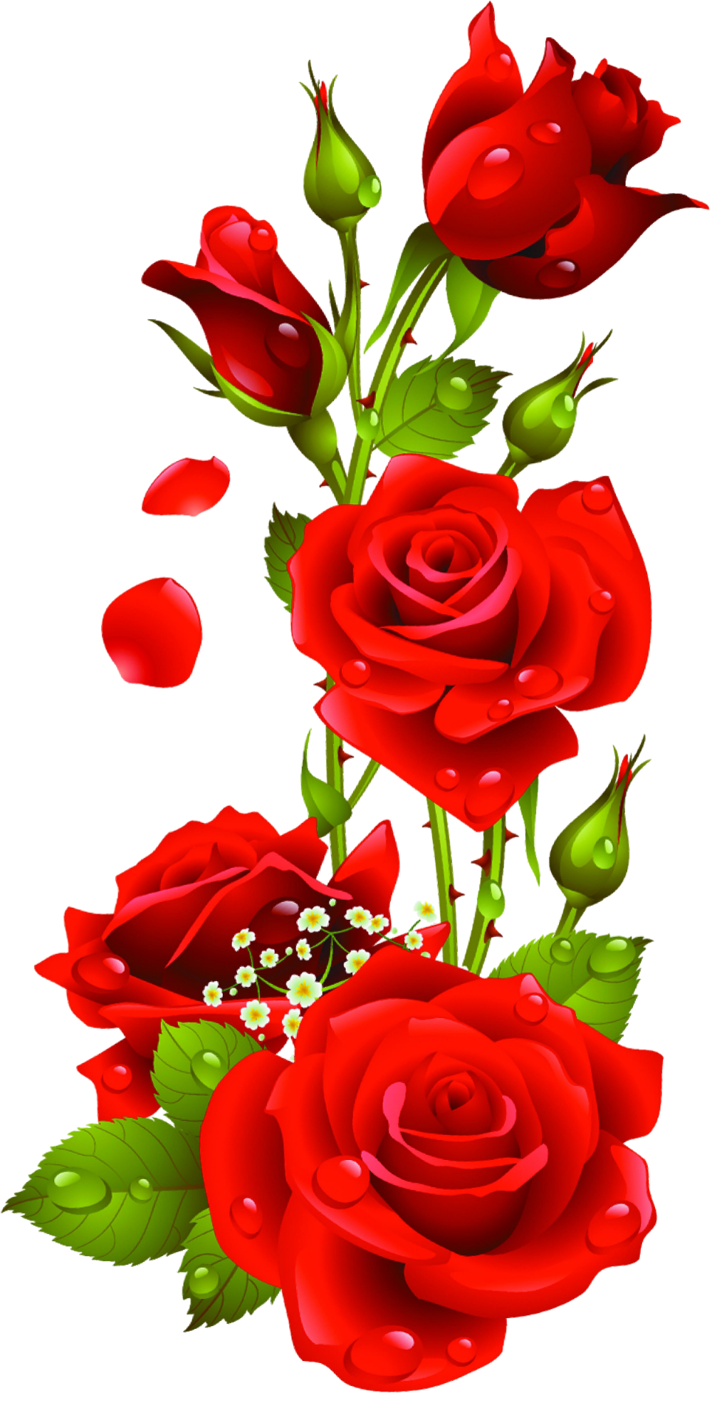 Rose rosse con gocce d'acqua, 1000x1969 Verticale, Mobile