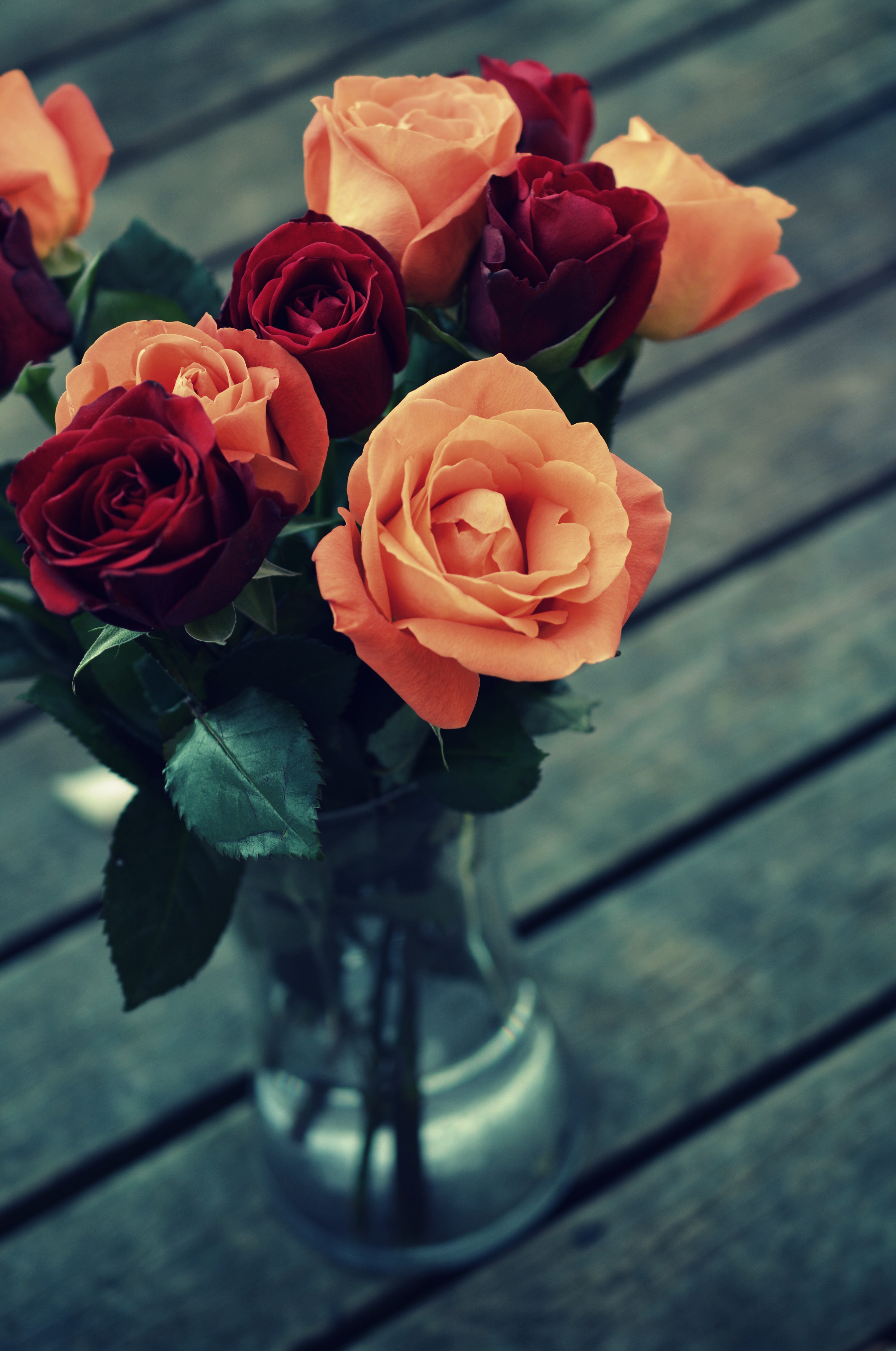 Rose arancioni e rosse in vaso, 3776x5691 Verticale, OnePlus