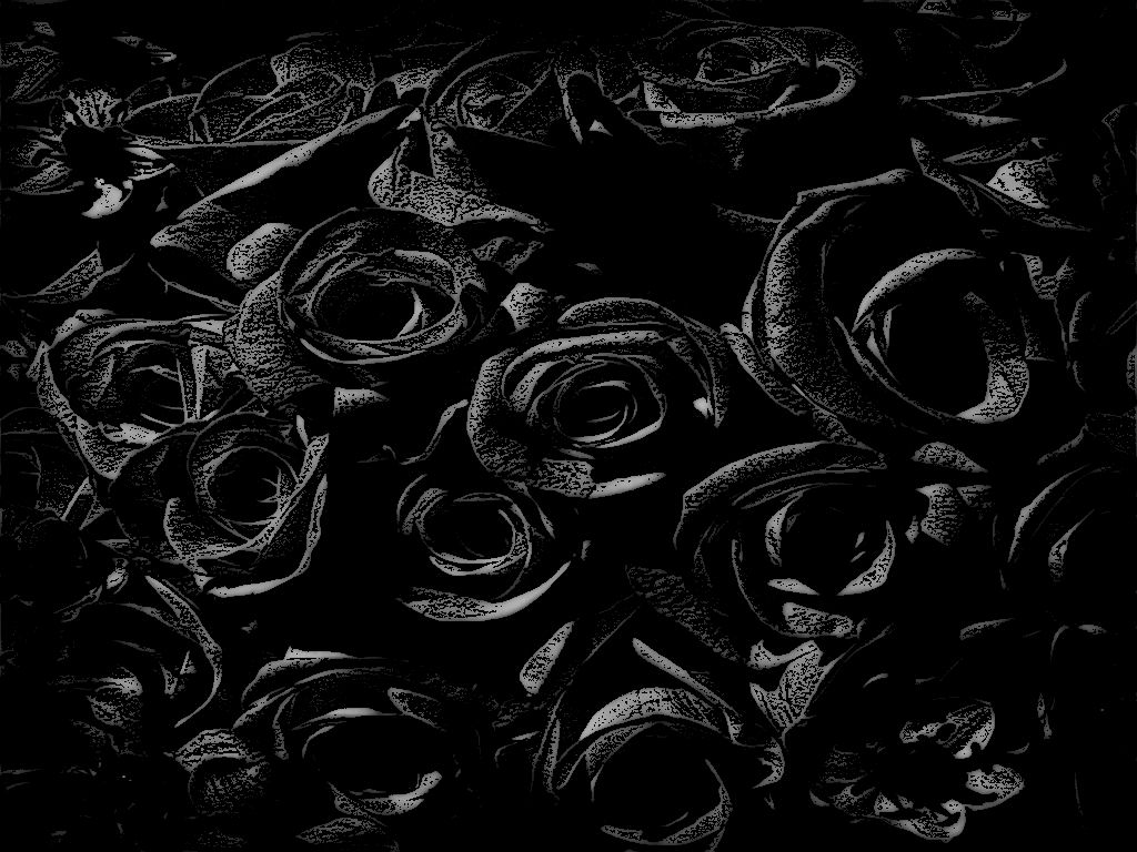Rose gotiche nere scure, 1024x768 HD, PC