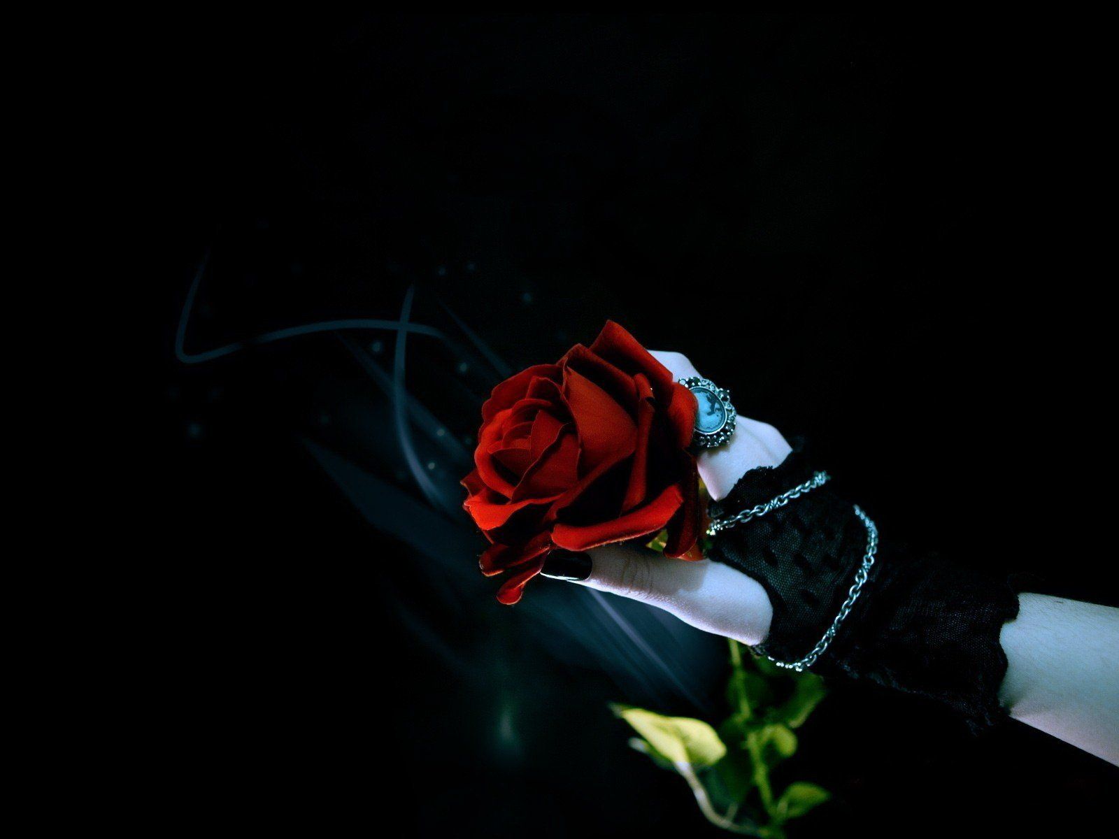 Rosa rossa e mani gotiche, 1600x1200 900p, HP Laptop