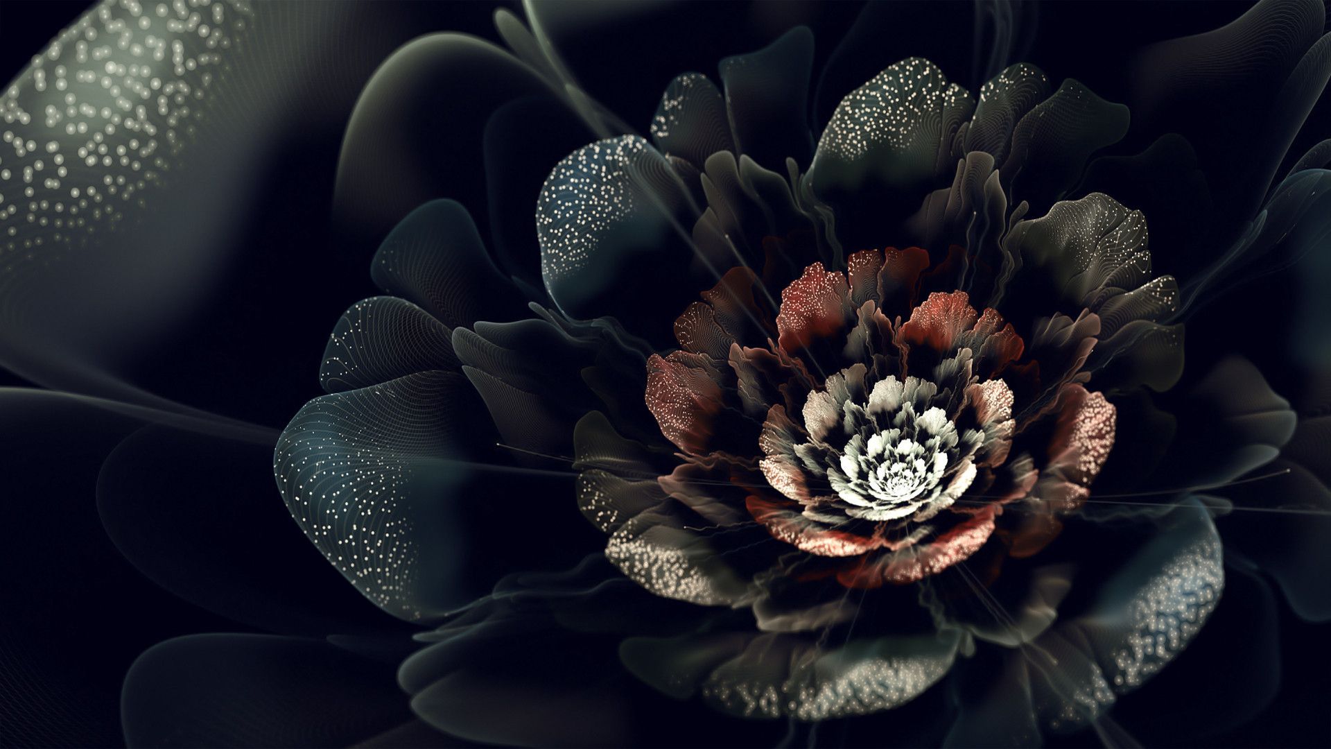 Rose gotiche nere luminescenti, 2560x1440 QHD, Laptop