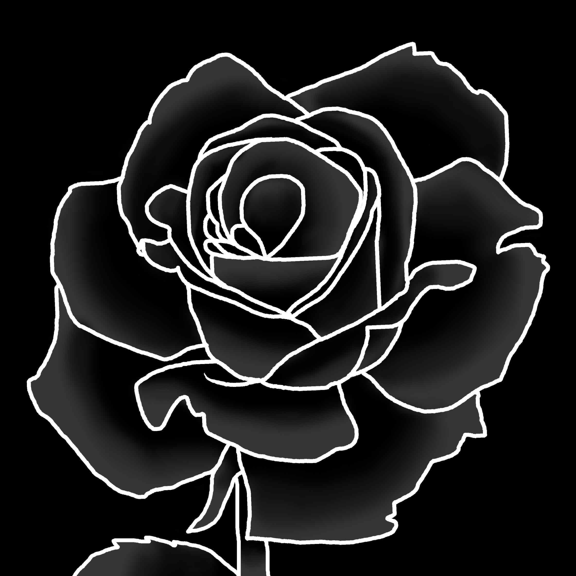con Rose Gotiche Nere, 1920x1200 Full HD+ WUXGA, iMac